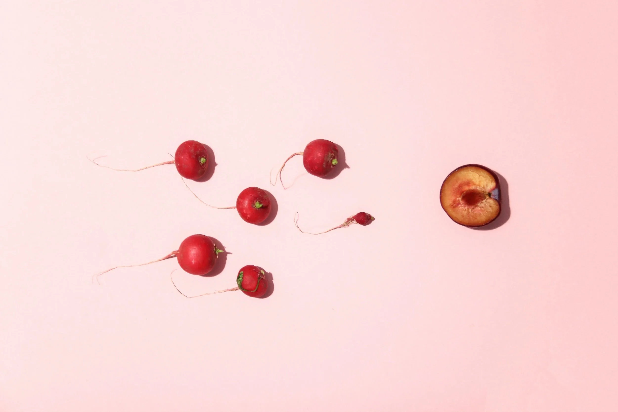 The IVF Warrior IUI What to Expect