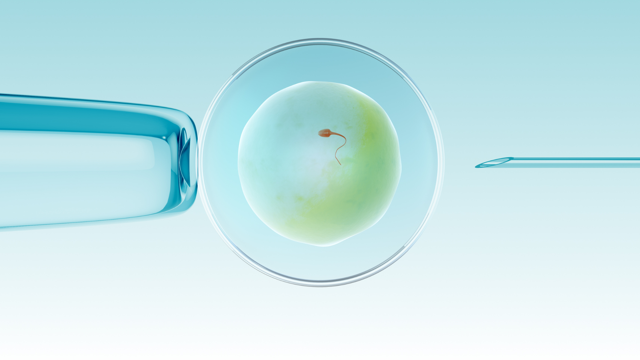 Ivf Technology The Future of Fertility: New Data Shows Trends in Assisted Reproductive ...