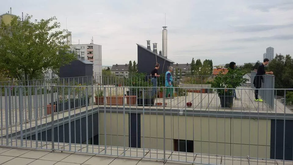 WhatsApp Image 2020-05-19 at 22.10.46.jpeg