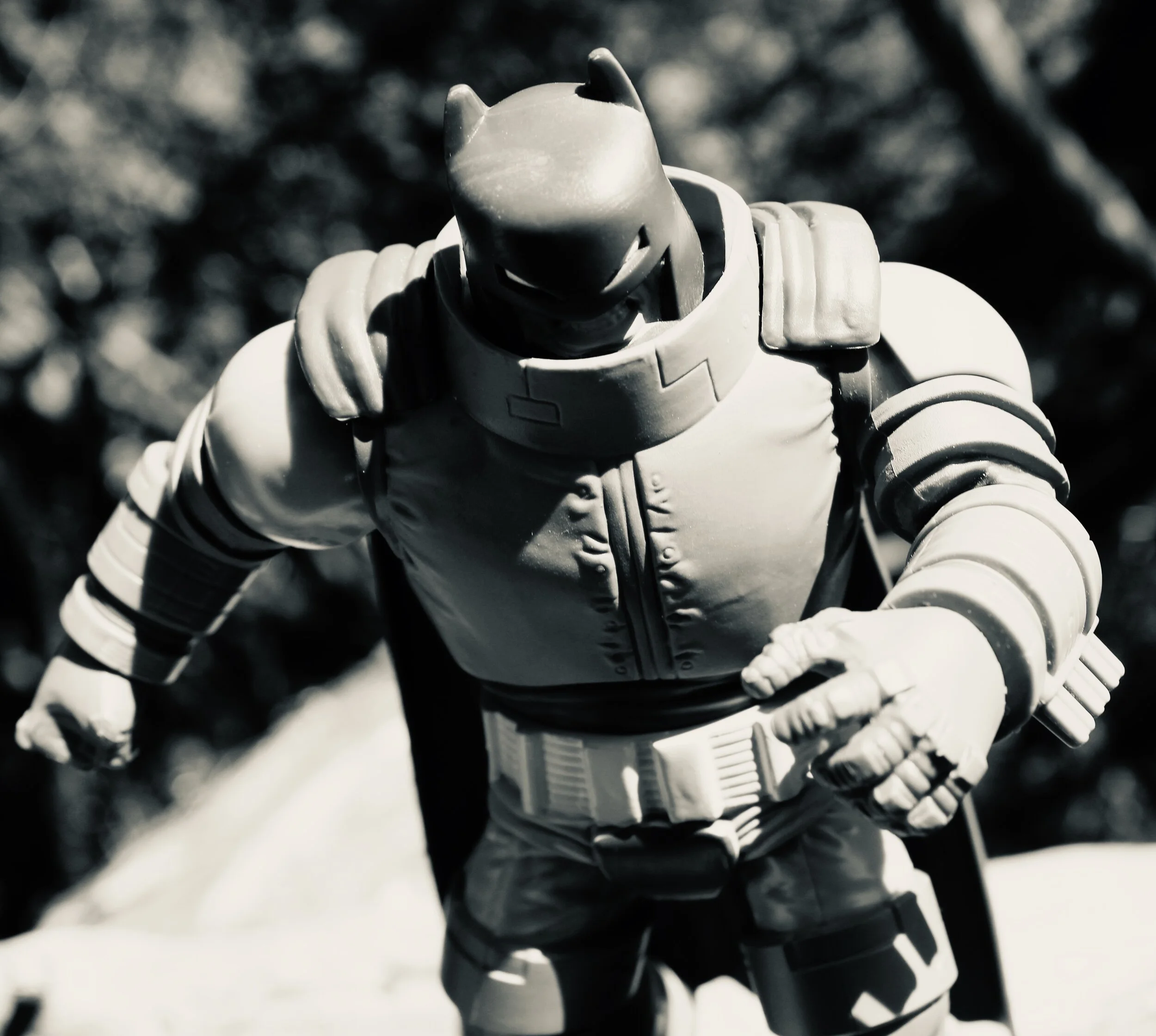  Photo taken using Canon EOS Rebel T6i digital camera in 2019. 