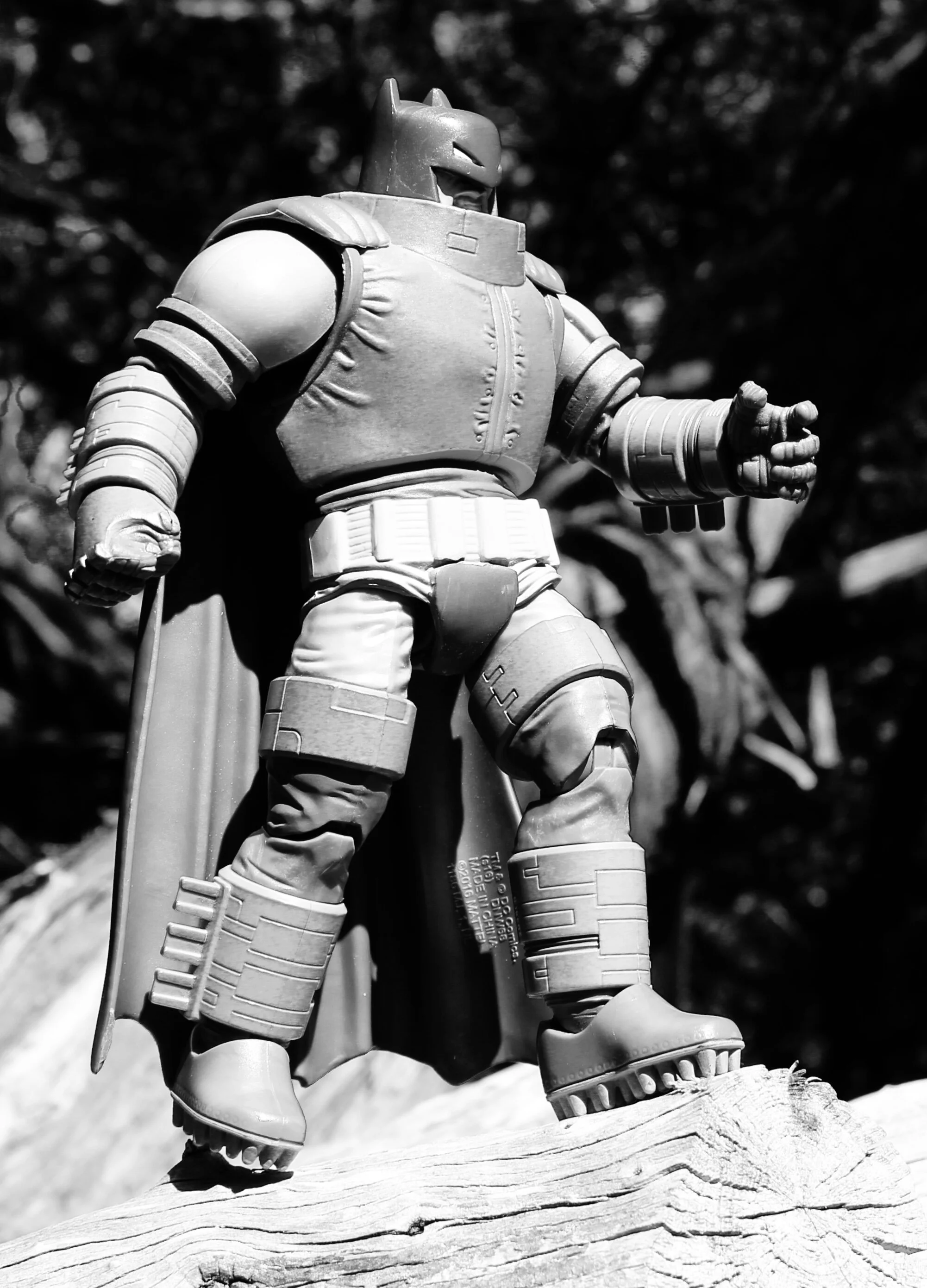  Photo taken using Canon EOS Rebel T6i digital camera in 2019. 