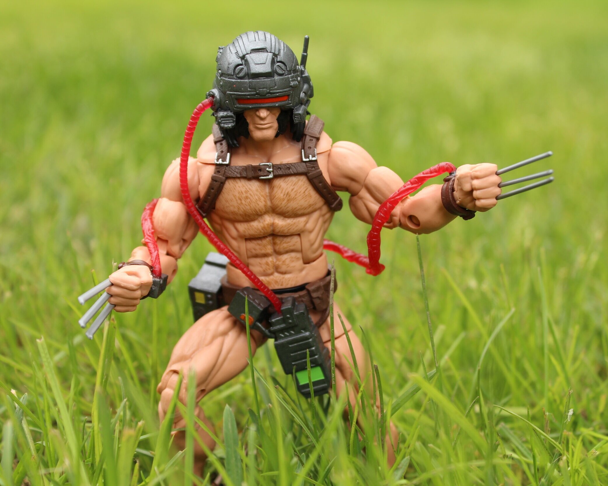  Photo taken using Canon Rebel T6i digital camera in 2019. 