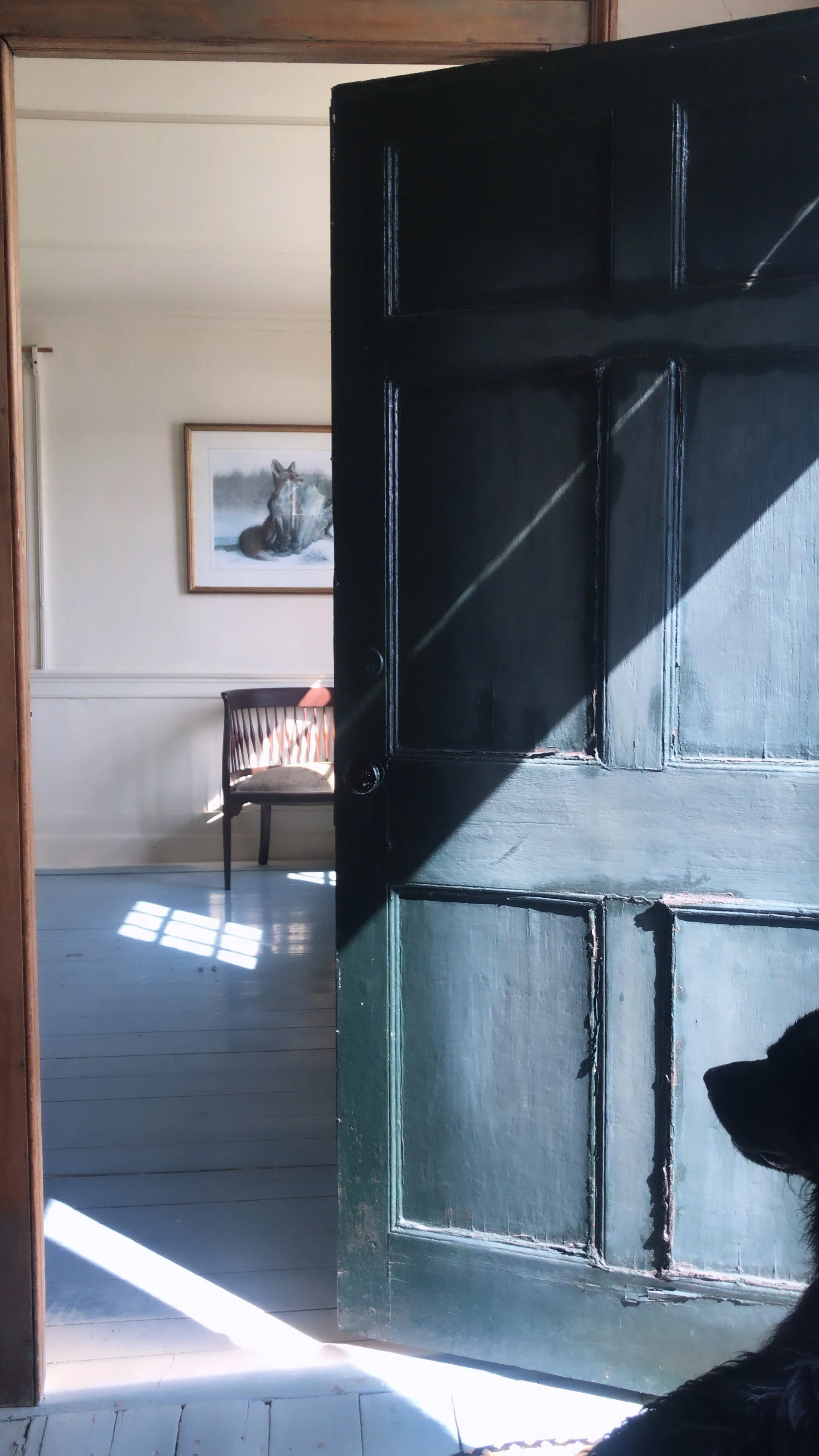 Explore Our New Maine Property