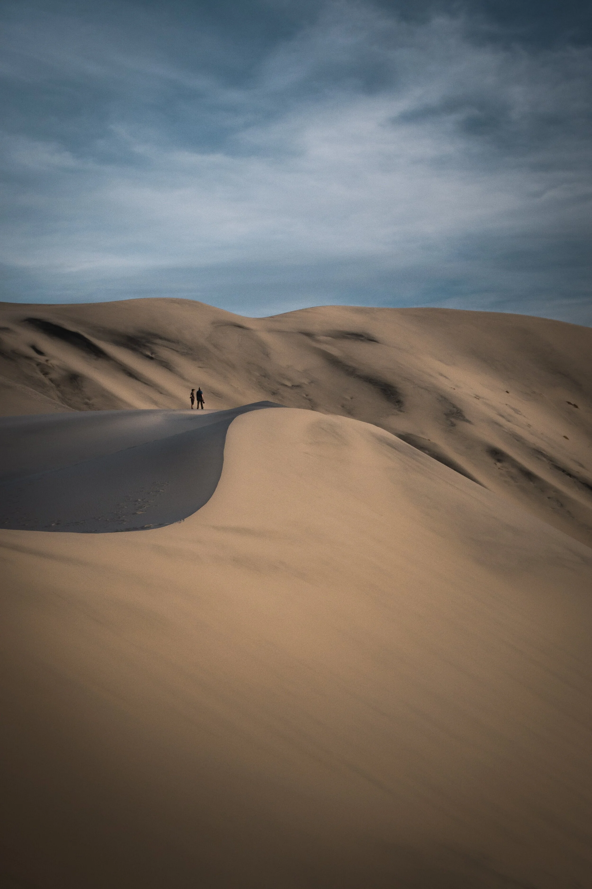Website+-+Gallery+Exports+-+California+Desert-74.jpg