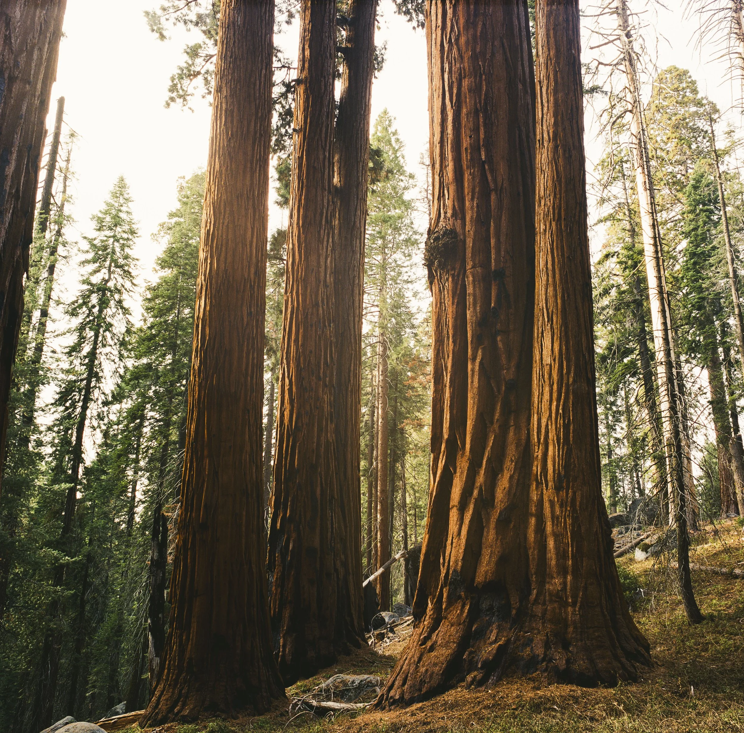 Film Portfolio-177.jpg