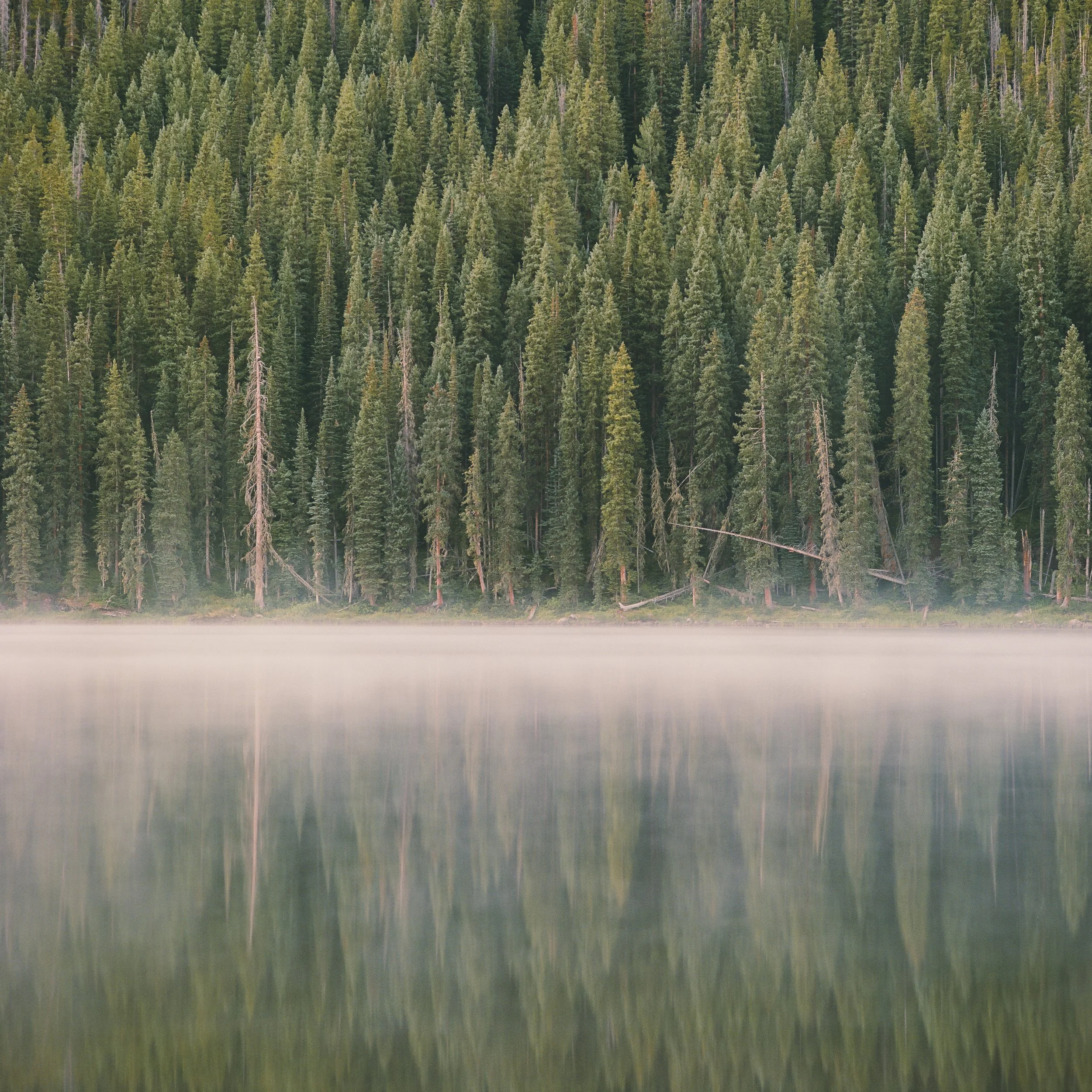 Film Portfolio-159.jpg