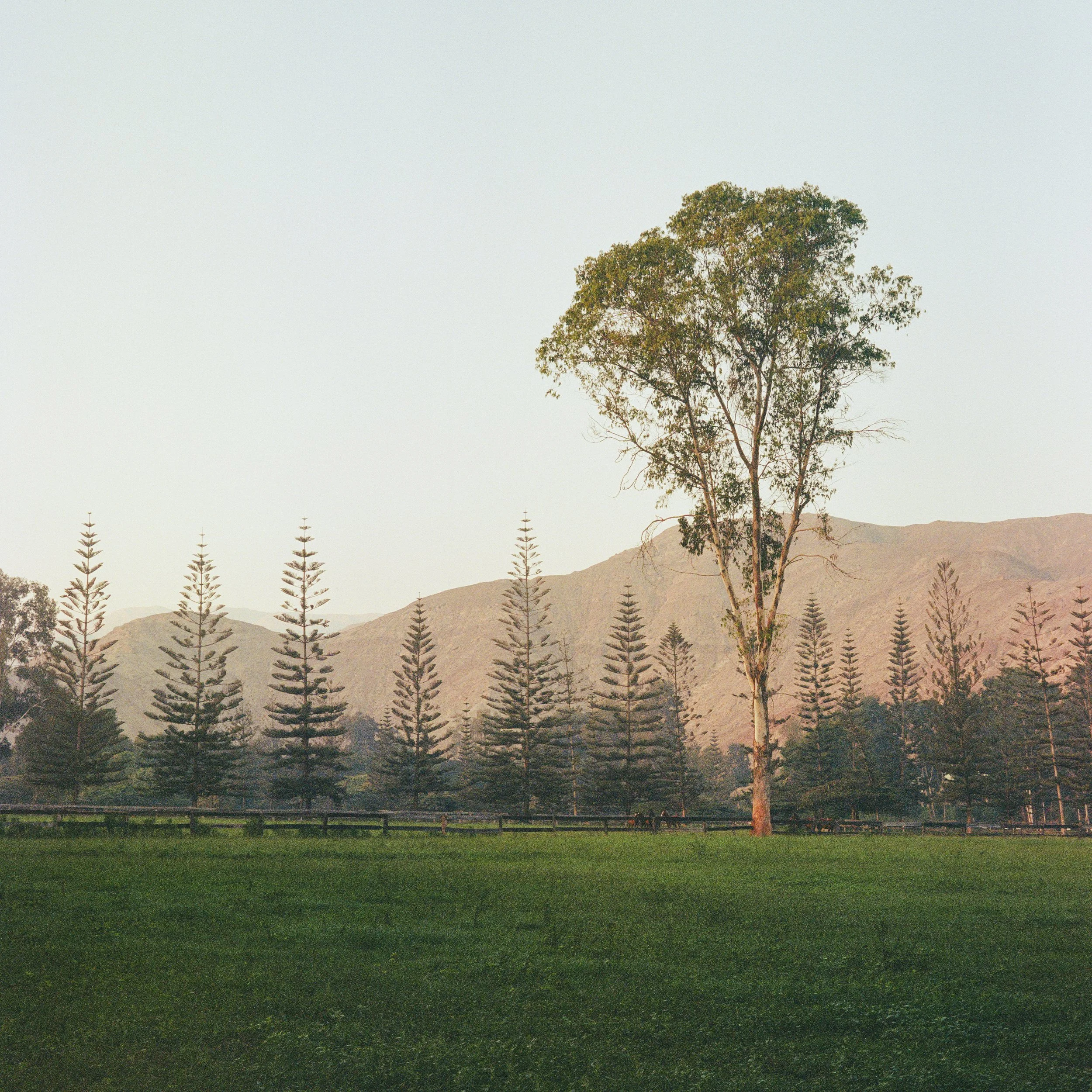 Film Portfolio-145.jpg