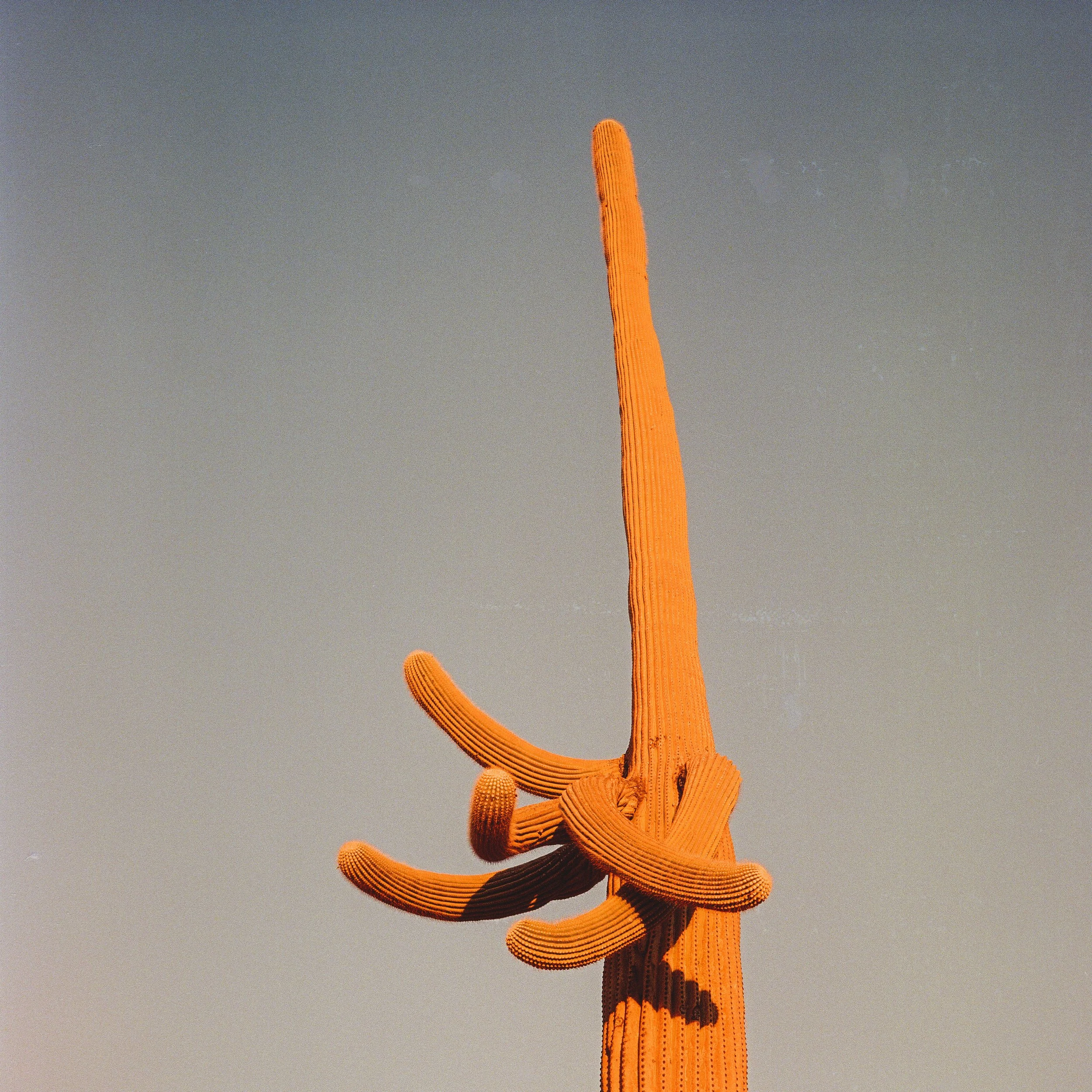 Film Portfolio-144.jpg