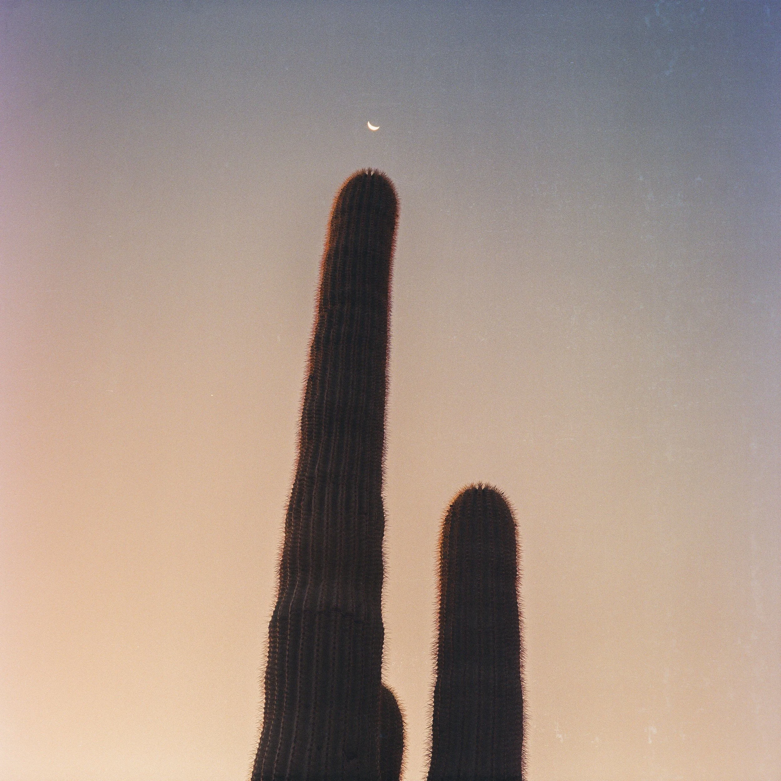 Film Portfolio-143.jpg