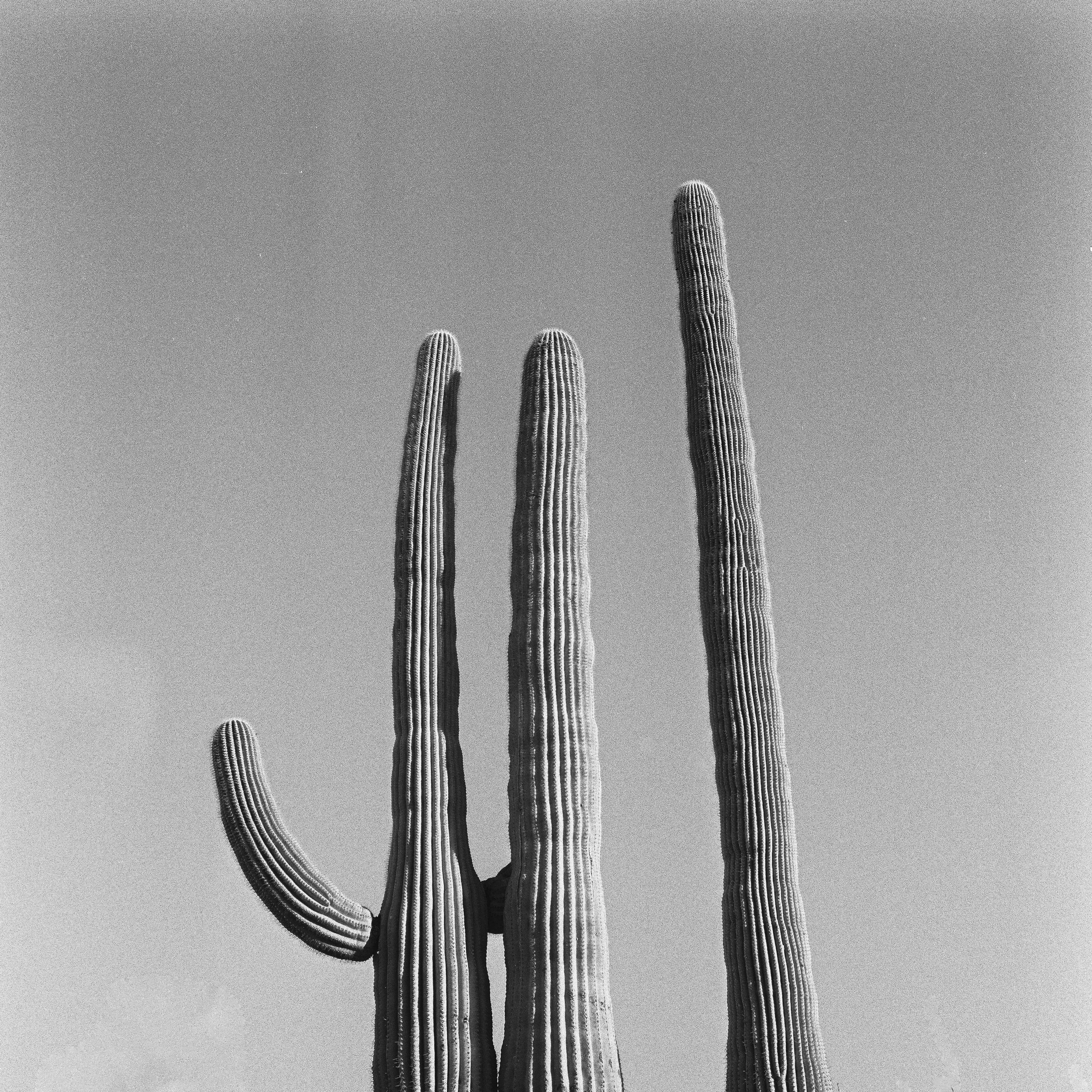 Film Portfolio-137.jpg