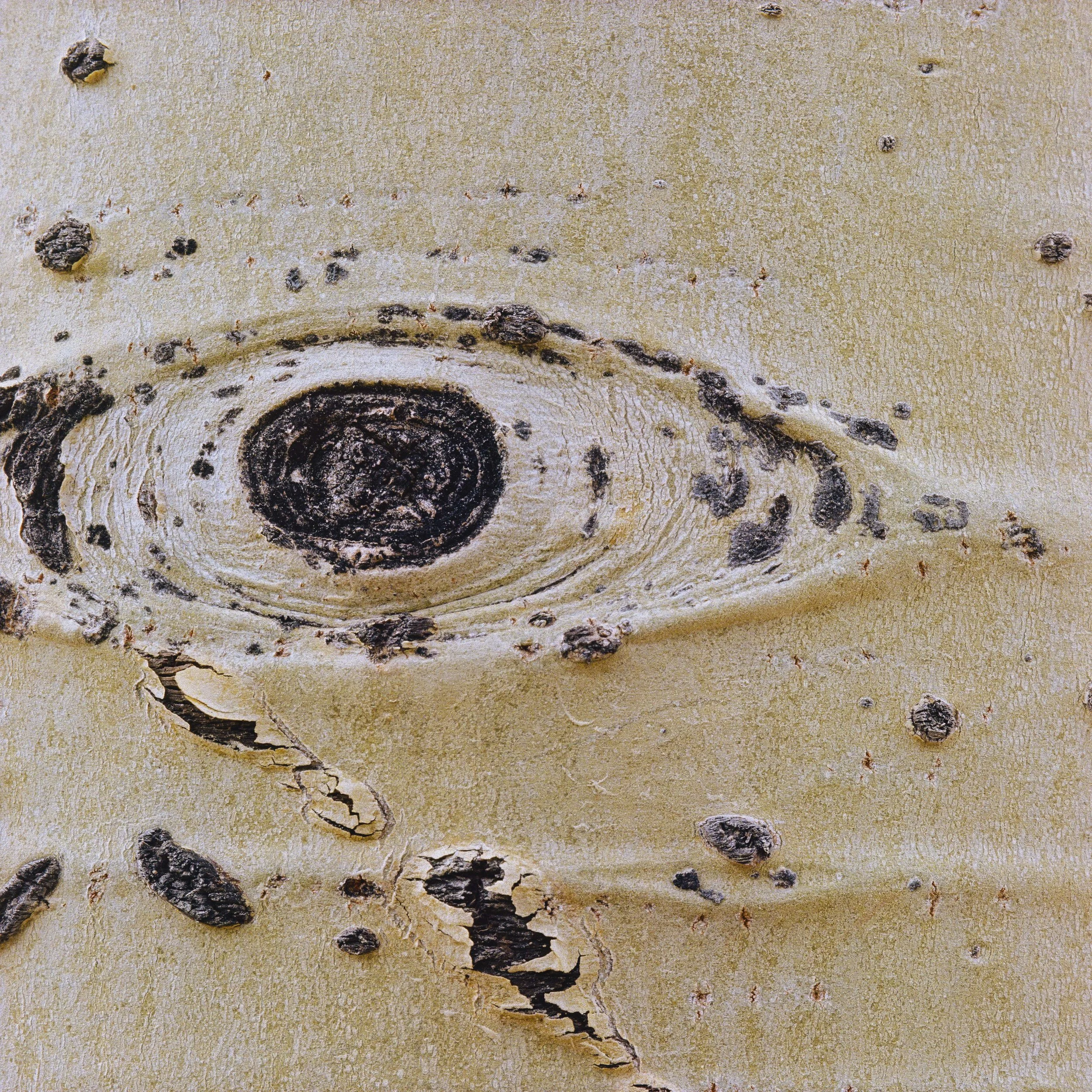 Film Portfolio-128.jpg