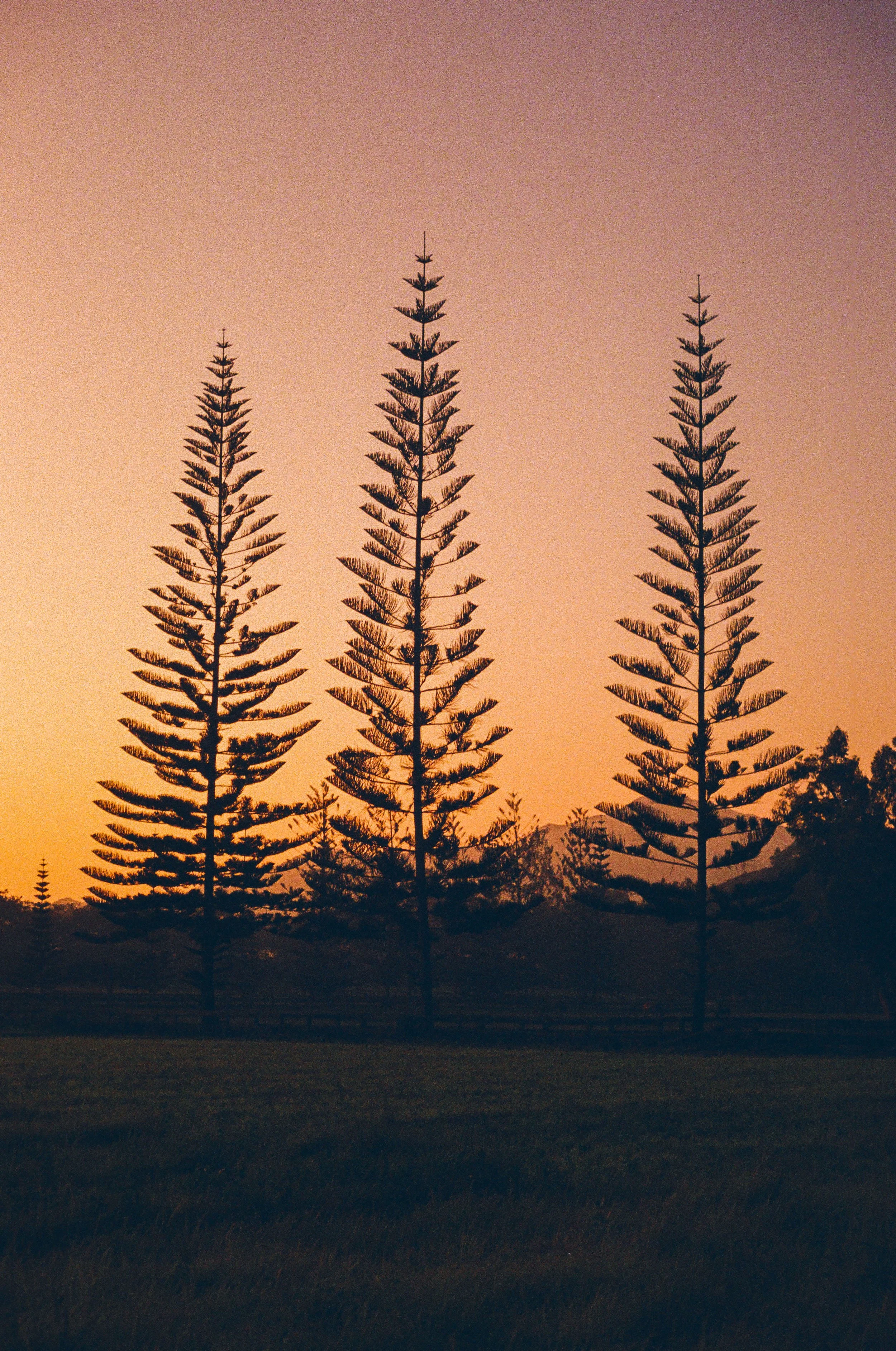 Film Portfolio-120.jpg