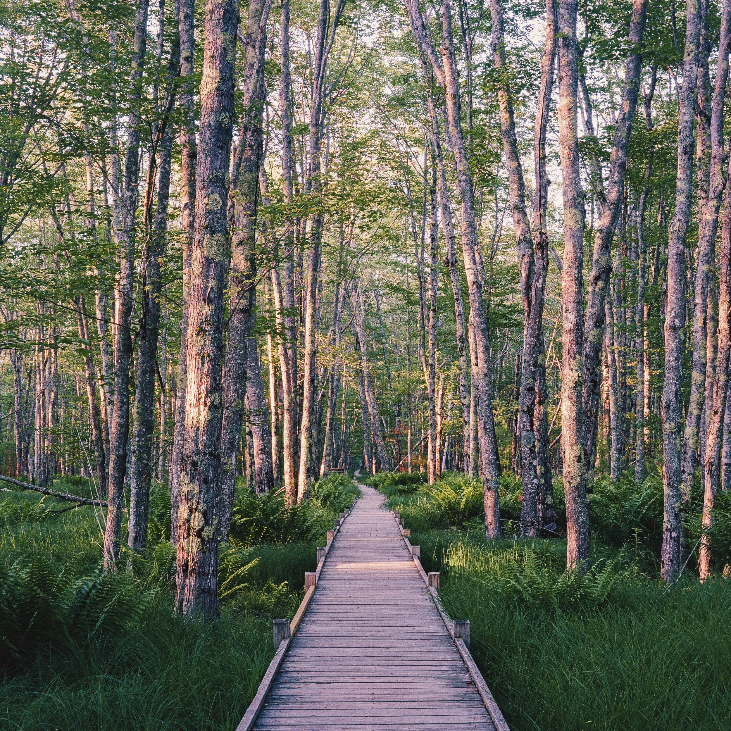 Film Portfolio-103.jpg