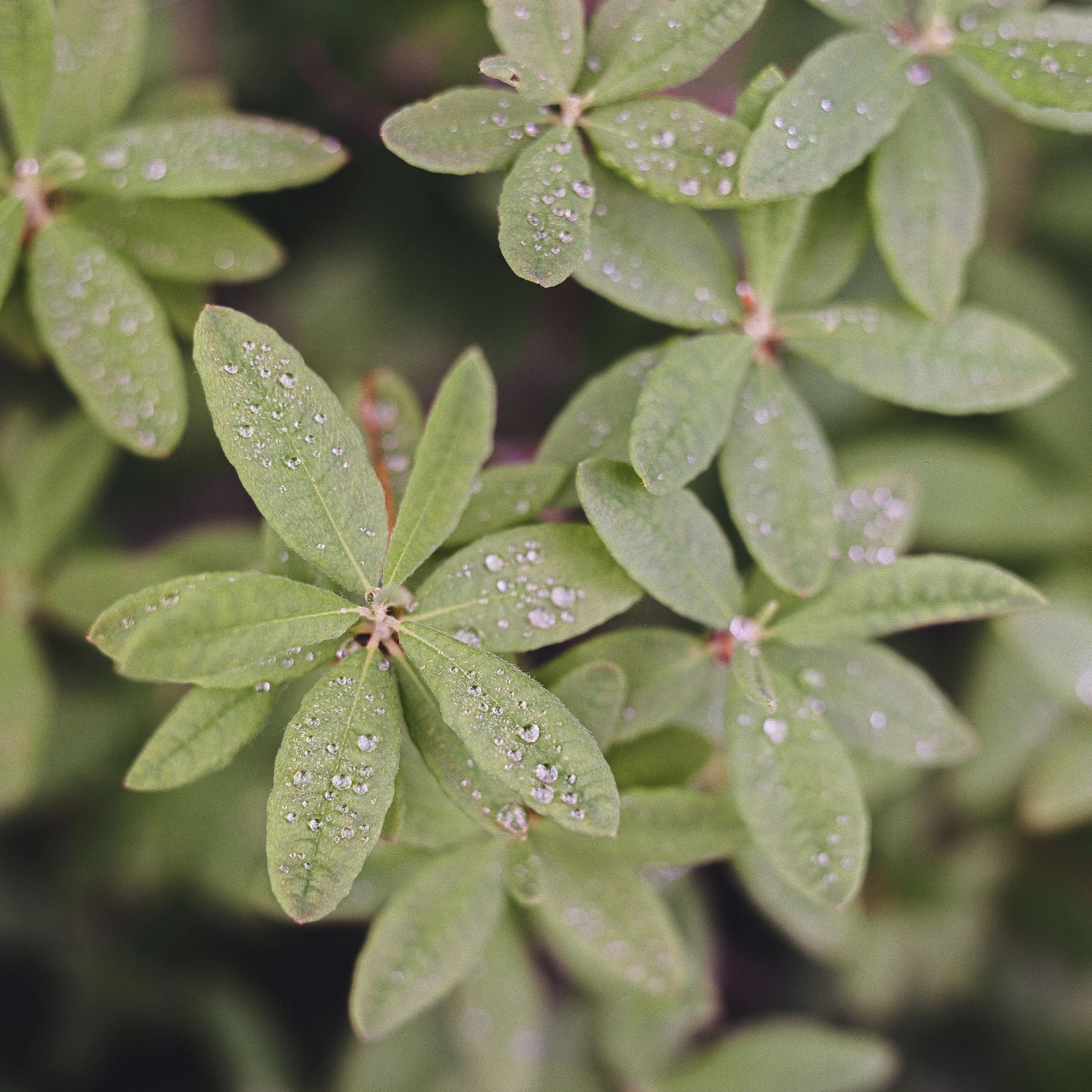 Film Portfolio-101.jpg