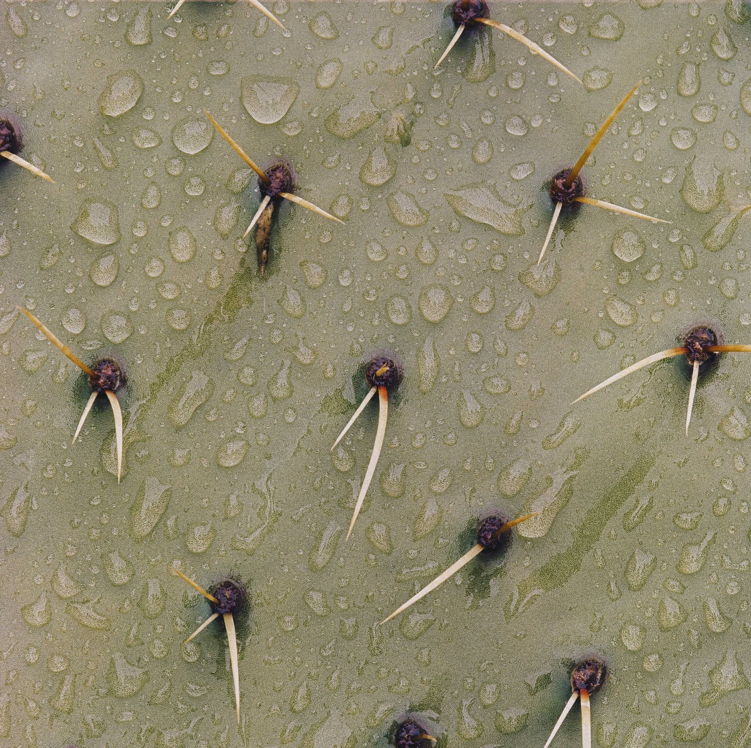 Film Portfolio-95.jpg