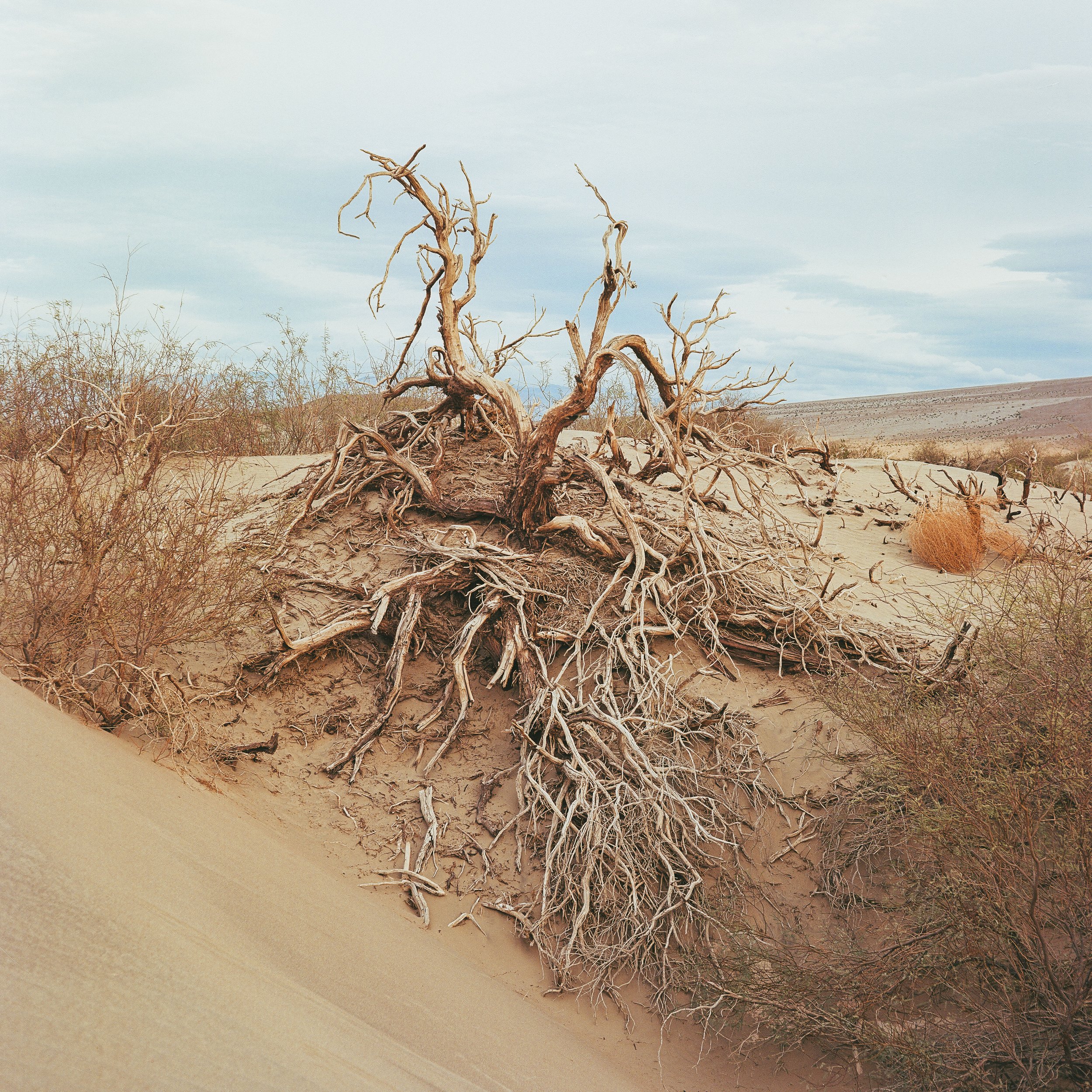 Film Portfolio-93.jpg