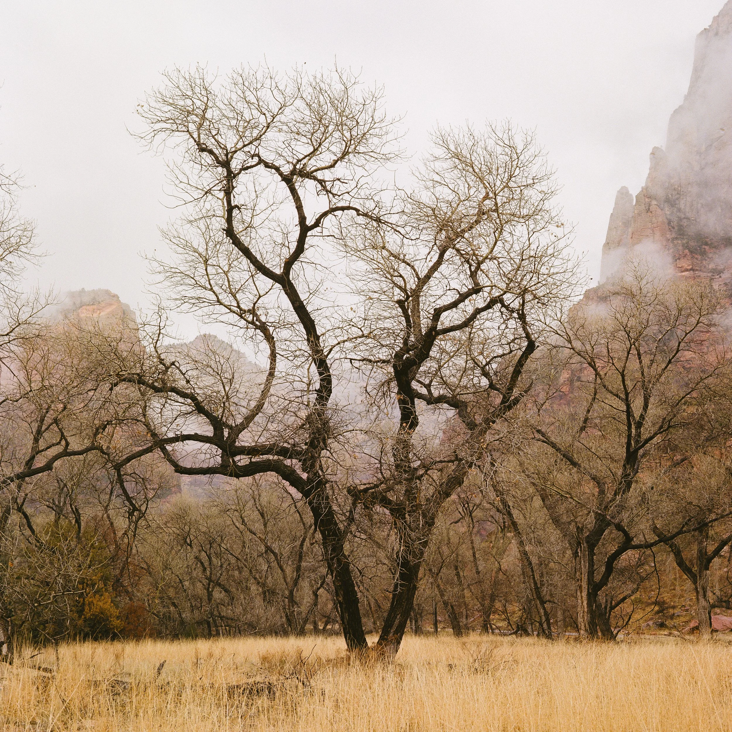 Film Portfolio-88.jpg