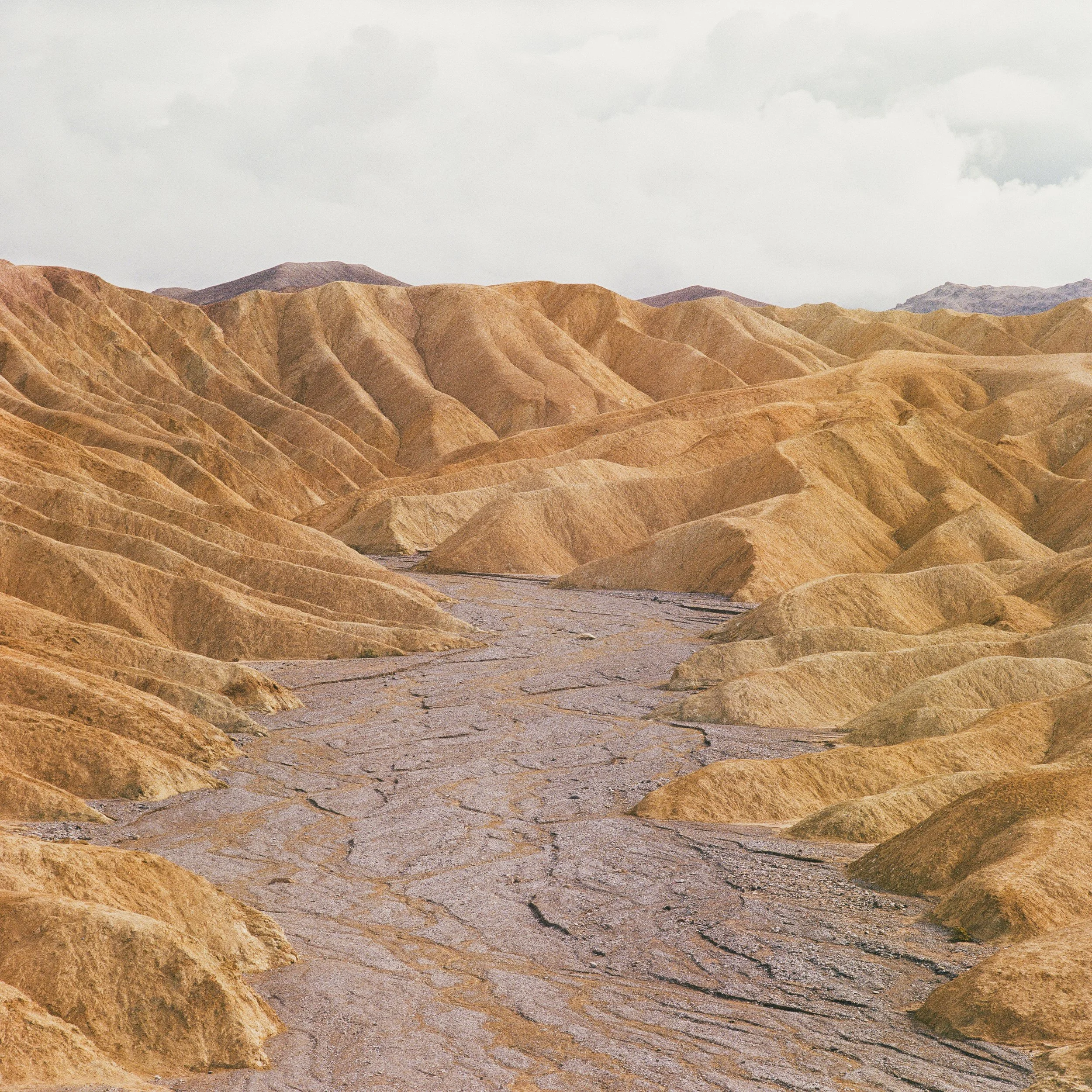 Film Portfolio-84.jpg