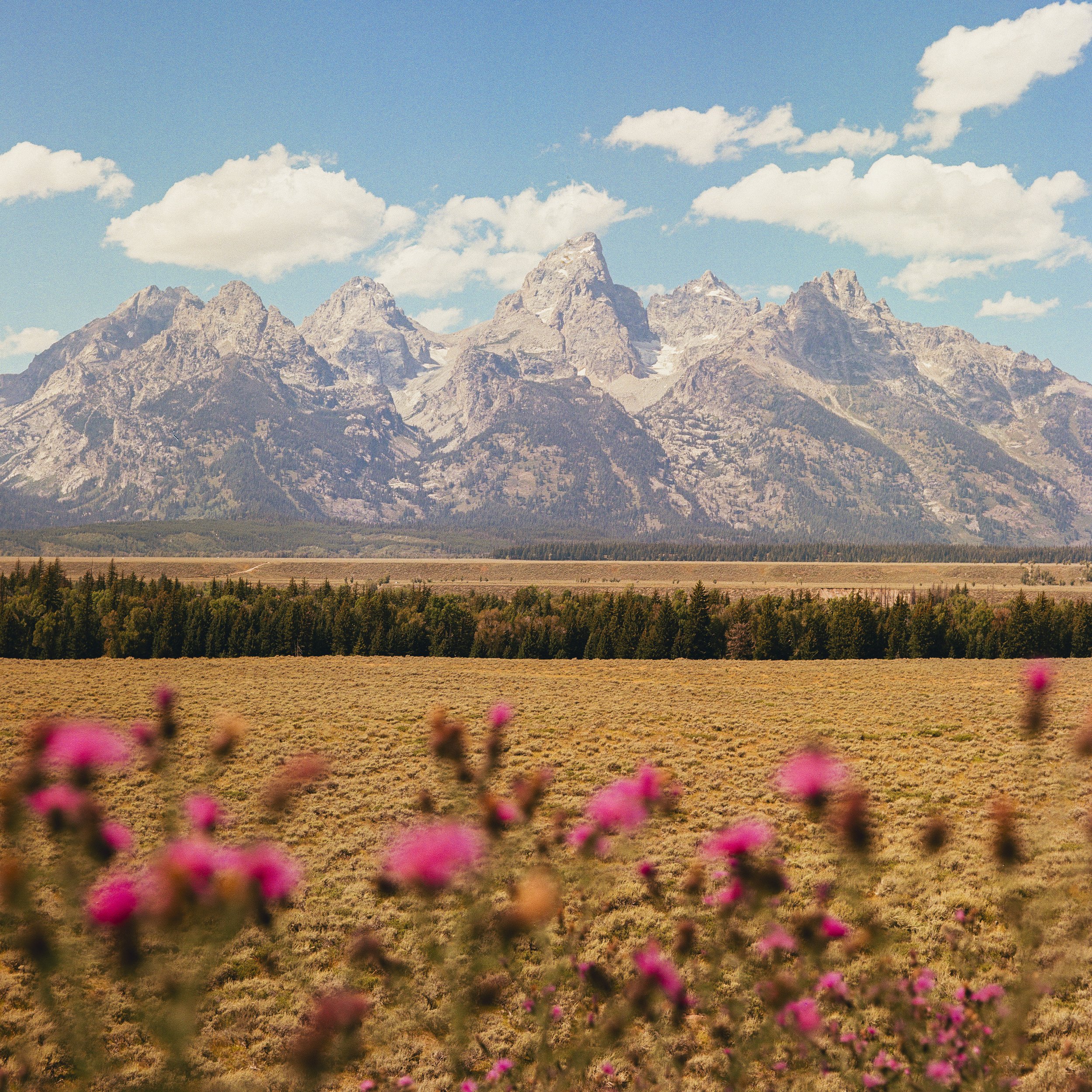 Film Portfolio-76.jpg