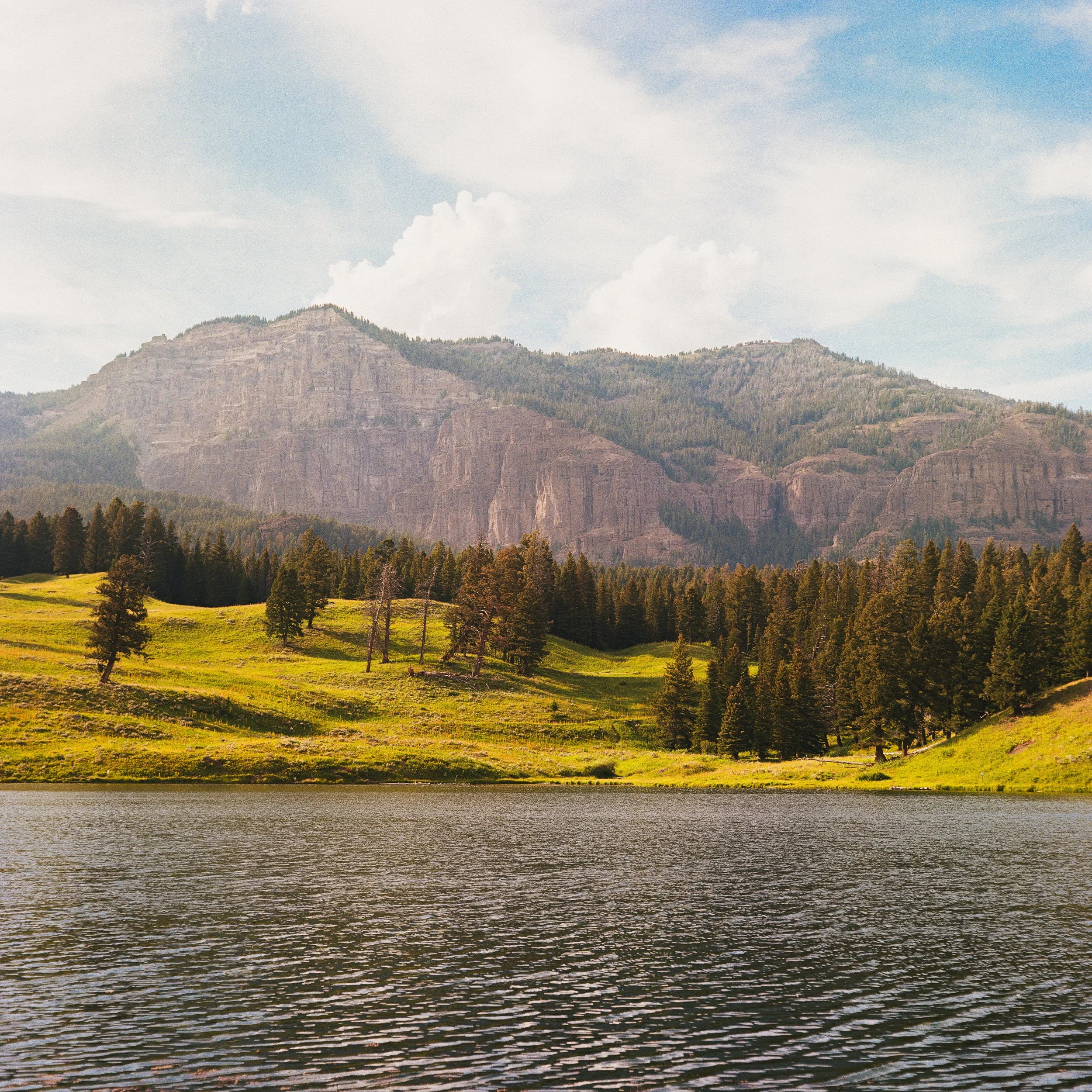 Film Portfolio-72.jpg