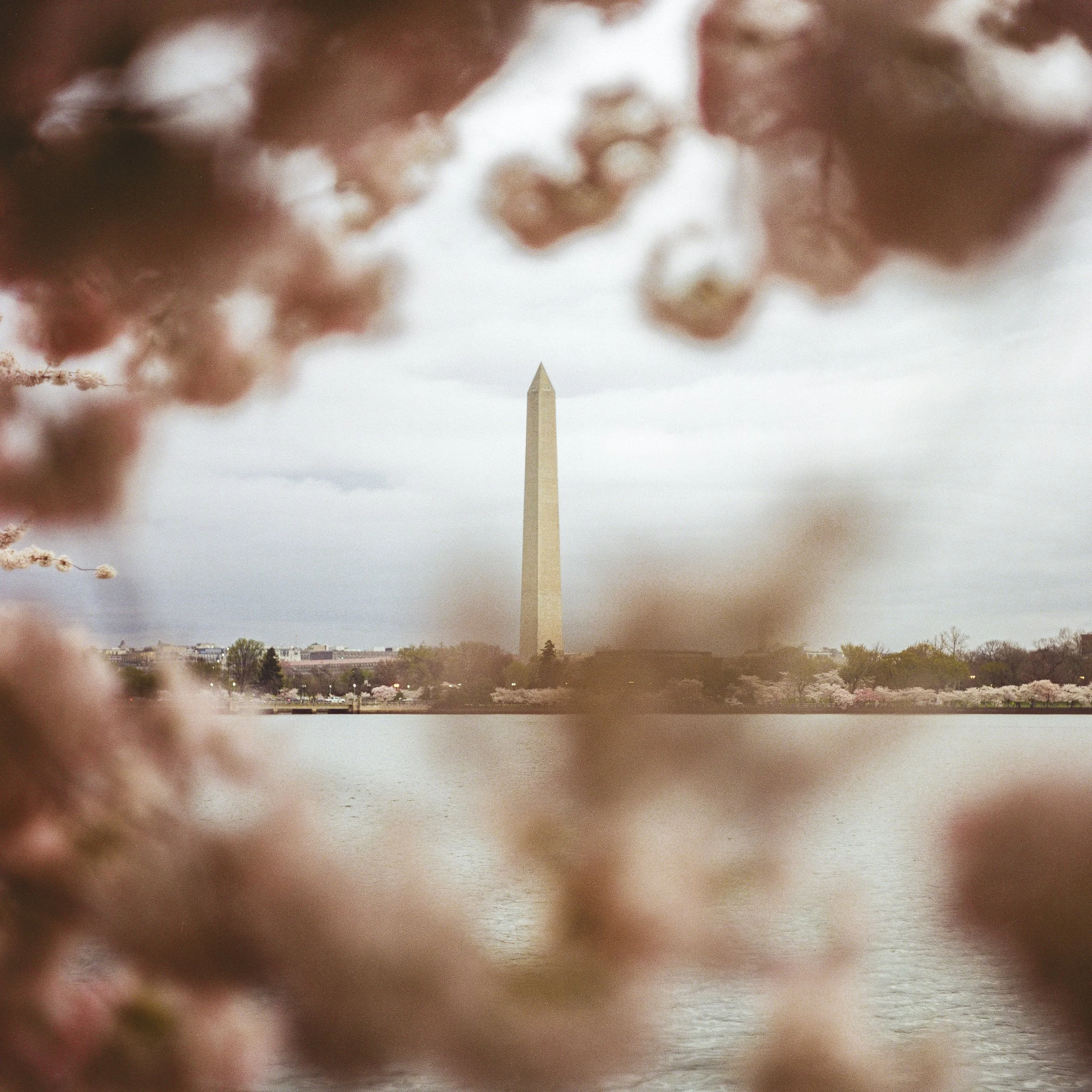 Film Portfolio-57.jpg