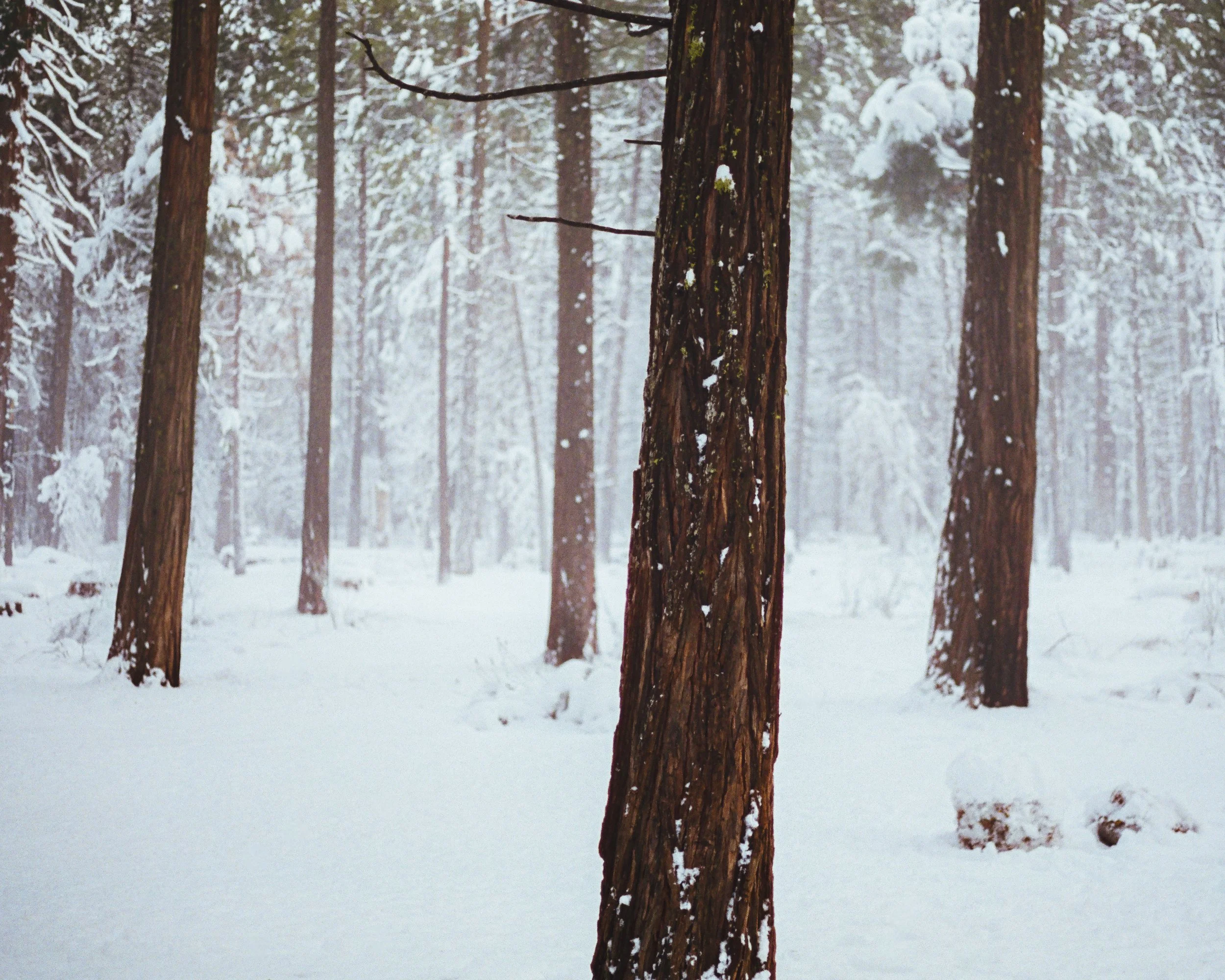 Film Portfolio-50.jpg