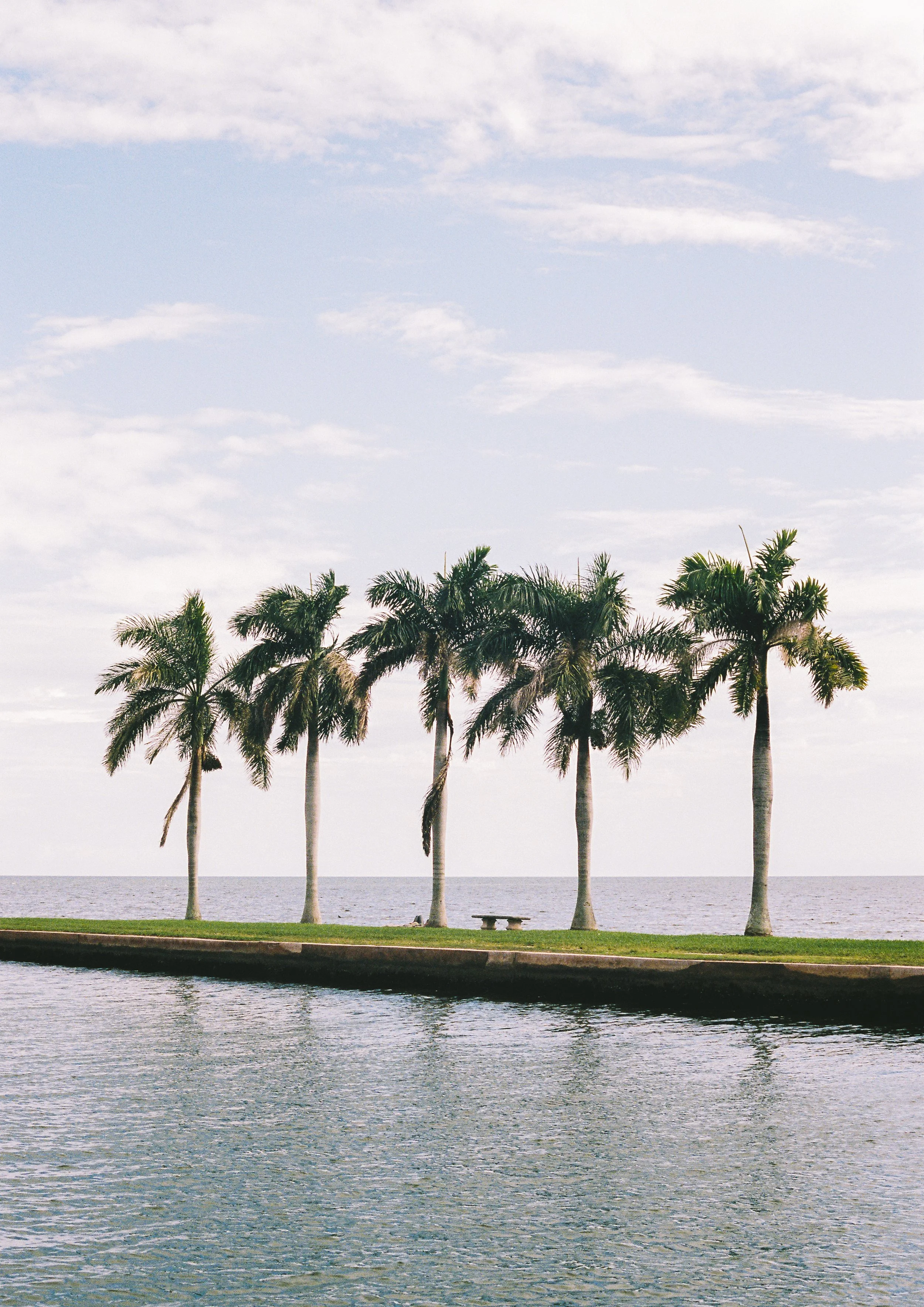 Film Portfolio-12.jpg