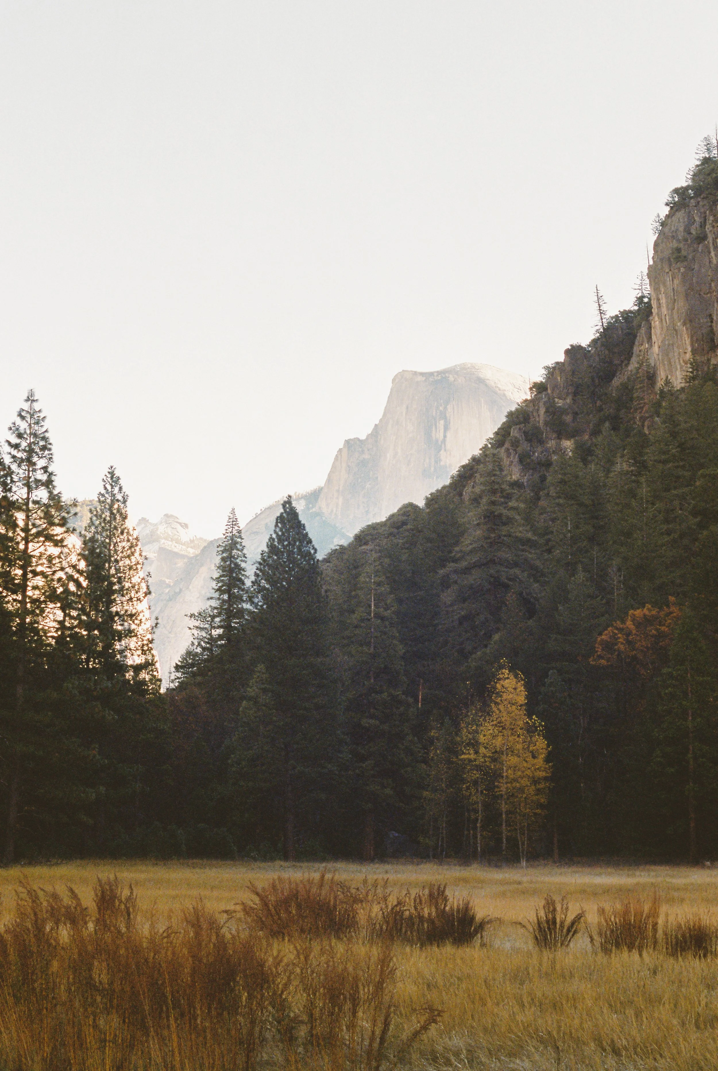 Film Portfolio-4.jpg