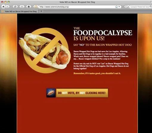  We even created an opposing candidate website.  
