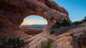 One planet investing.