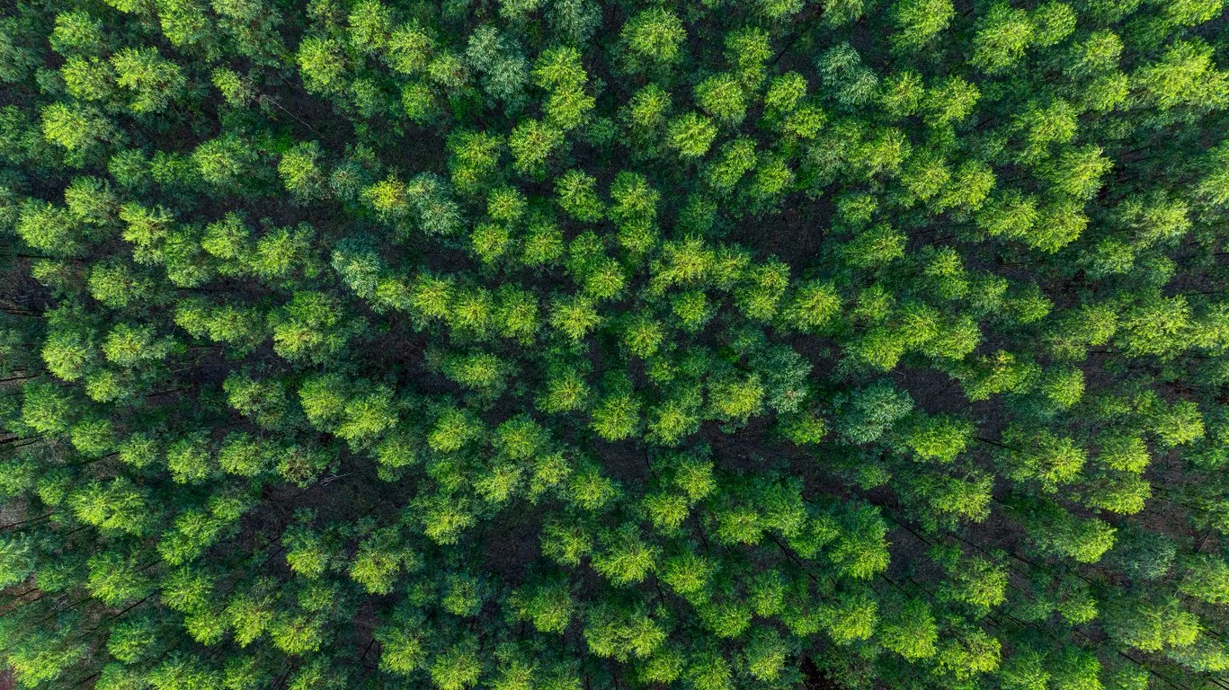 How to Spot Greenwashing in Your Portfolio