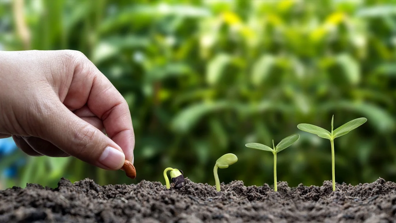 Sustainable Investing Isn't New: From Quaker Conviction to Modern ESG Portfolios
