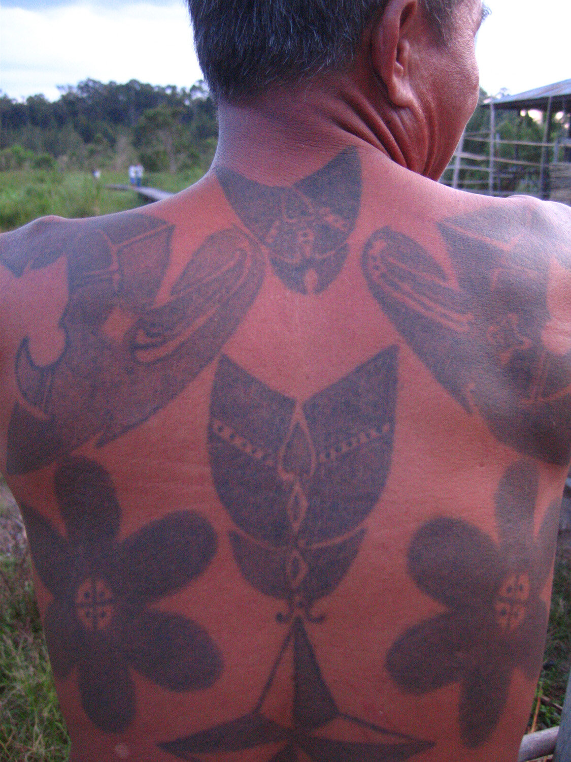 dayak tatoos.jpg