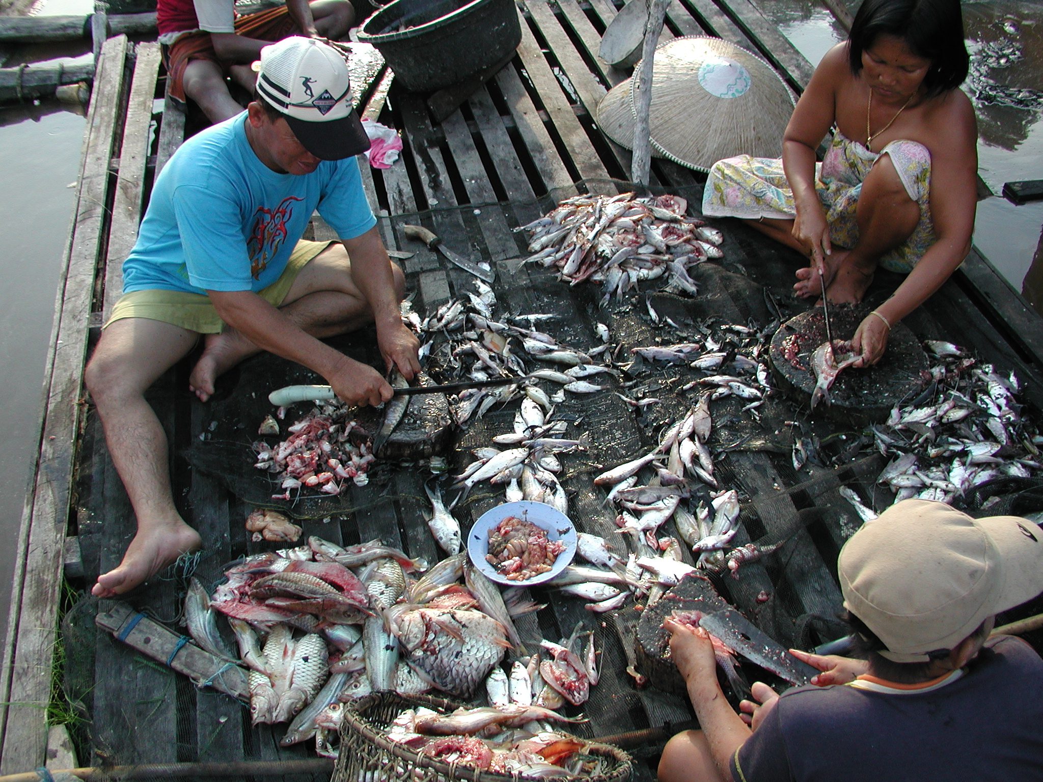 Harrianto family's fish harvest.jpg