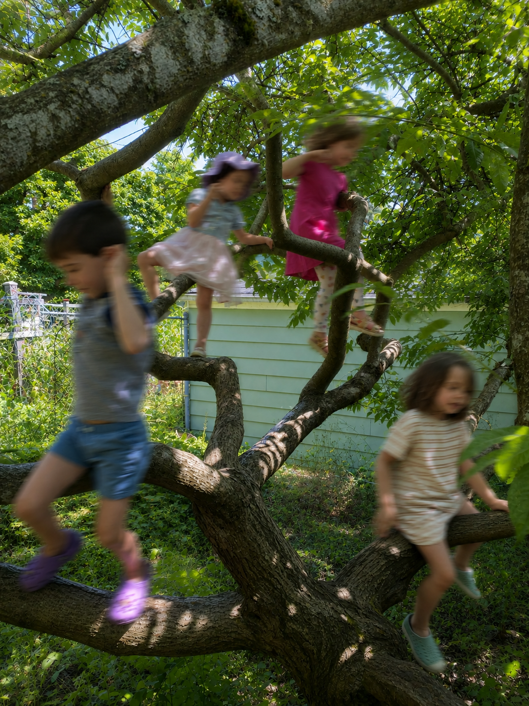 Tree climbing adjusted.png