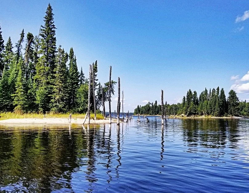 WhatsApp Image 2022-07-08 at 4.27.05 PM (1).jpeg