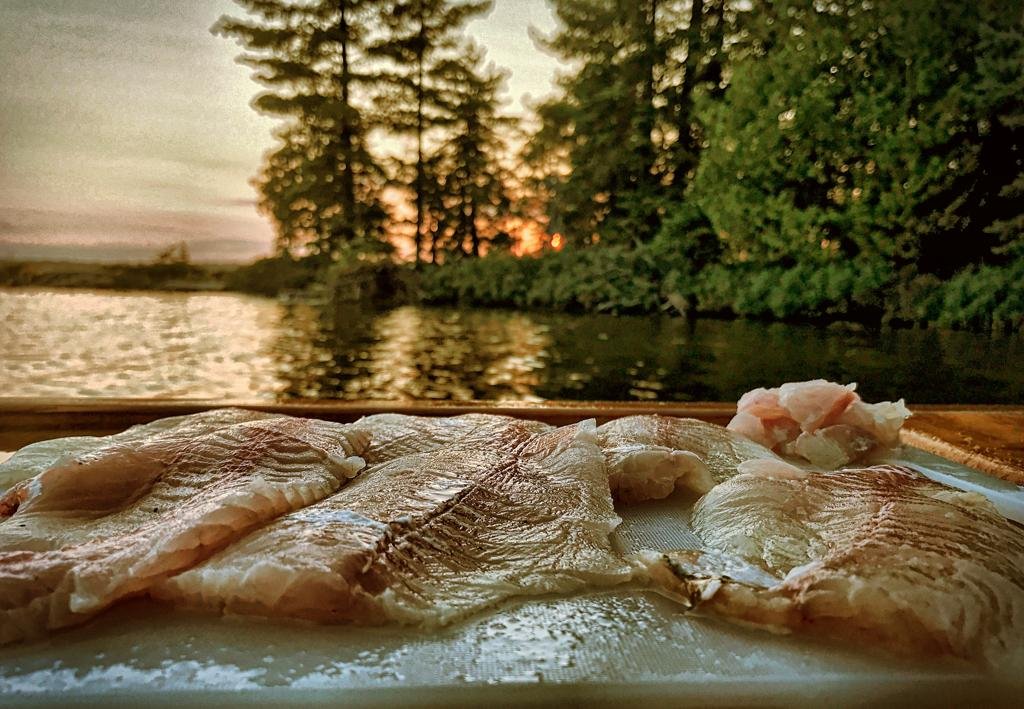 WhatsApp Image 2022-07-07 at 10.57.24 AM (2).jpeg