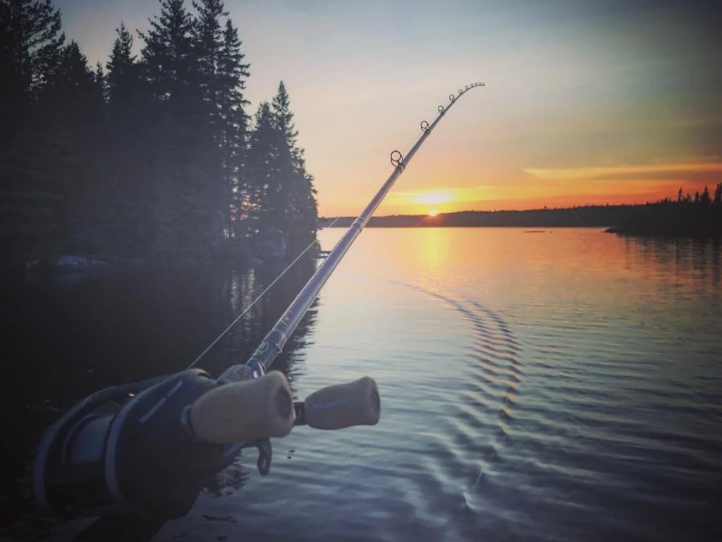 WhatsApp Image 2022-07-07 at 10.54.20 AM.jpeg