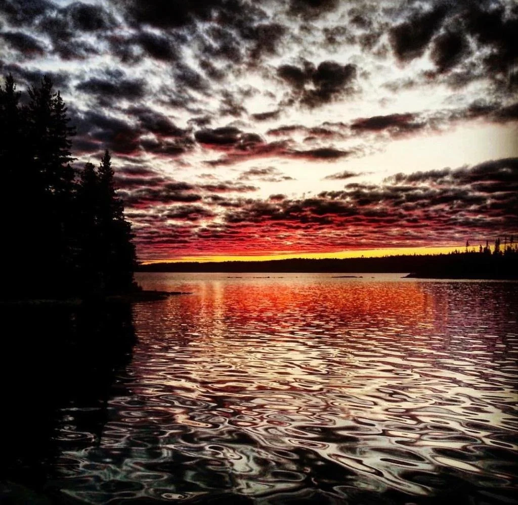 WhatsApp Image 2022-07-07 at 10.46.22 AM (3).jpeg