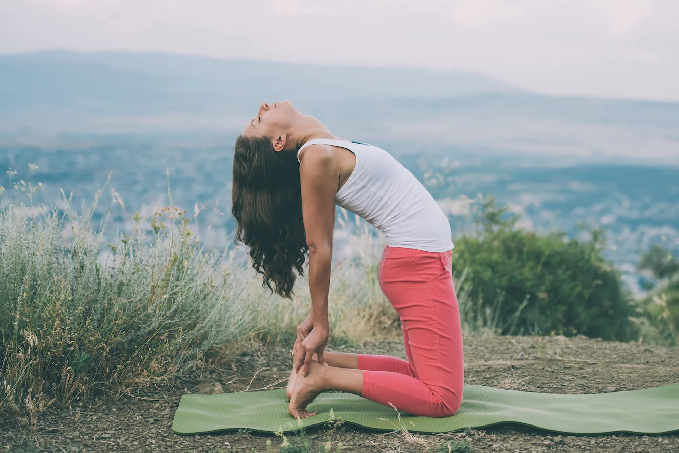 The Art of Backbending