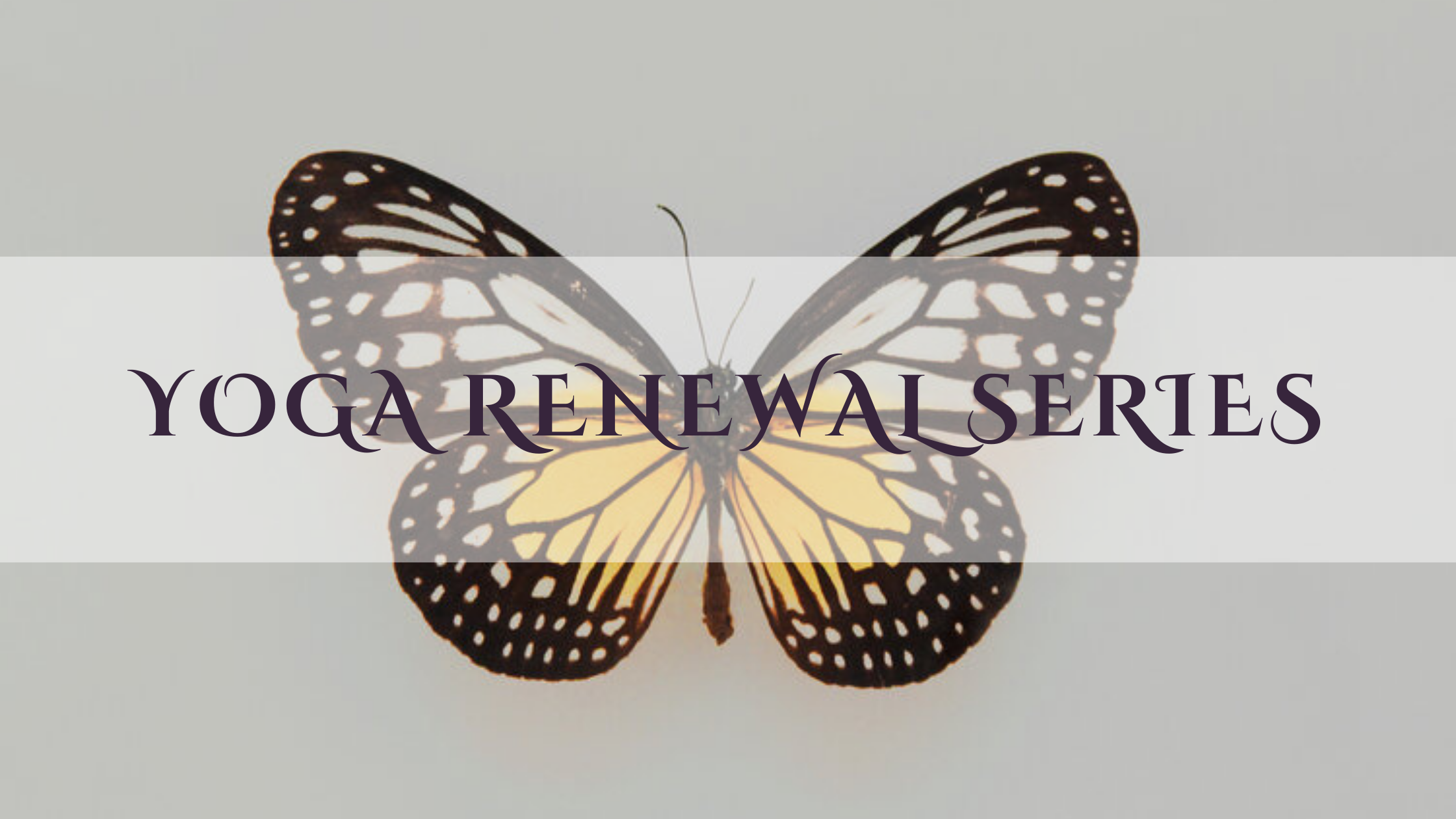 Yoga Renewal Series: Grief, Gratitude, &amp; Metamorphosis