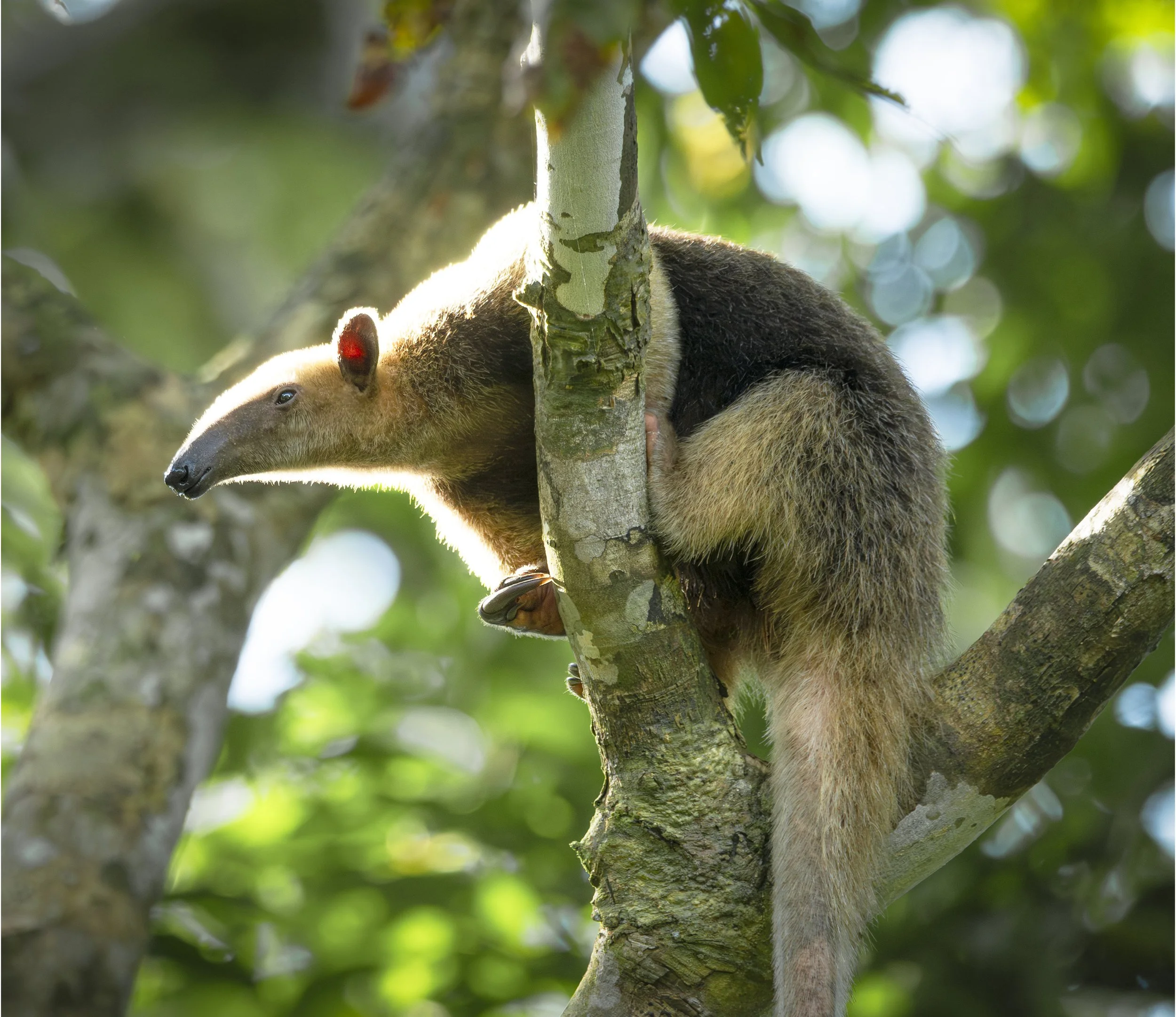 DSC_8674 copyPort Bord.jpg