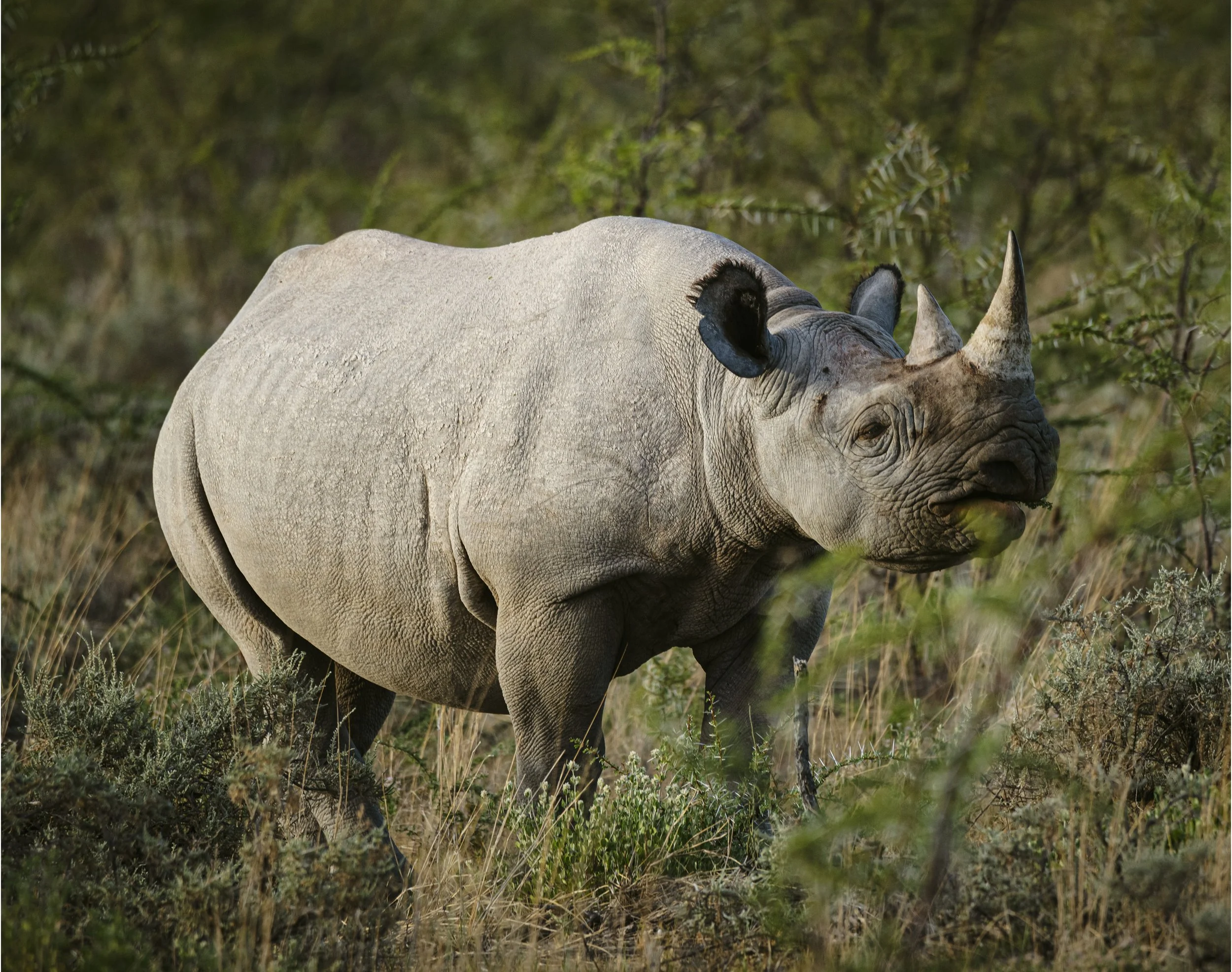 _DSC7112 copy2 PortBord.jpg