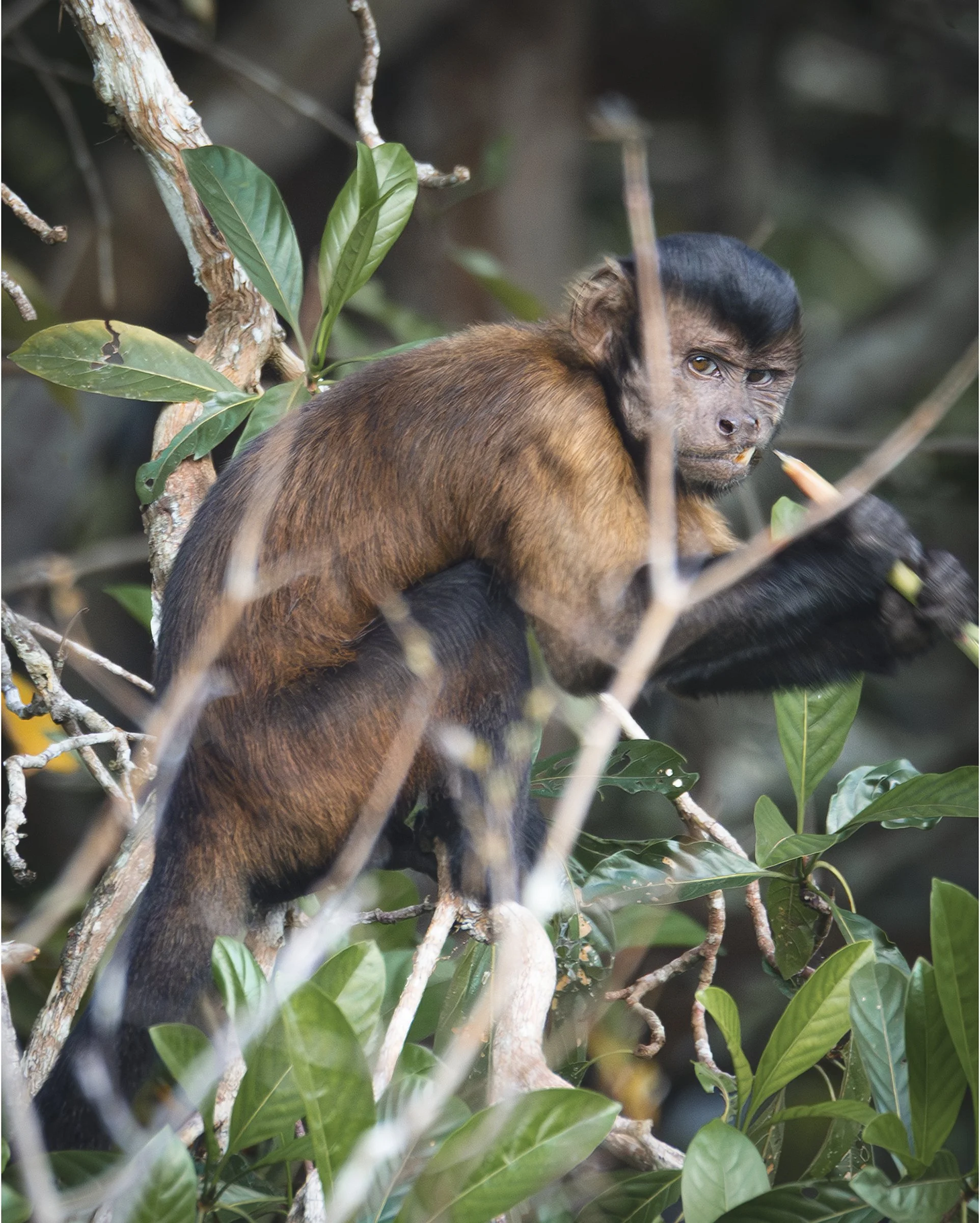 DSC_8225-Enhanced-NR copyPortBord.jpg