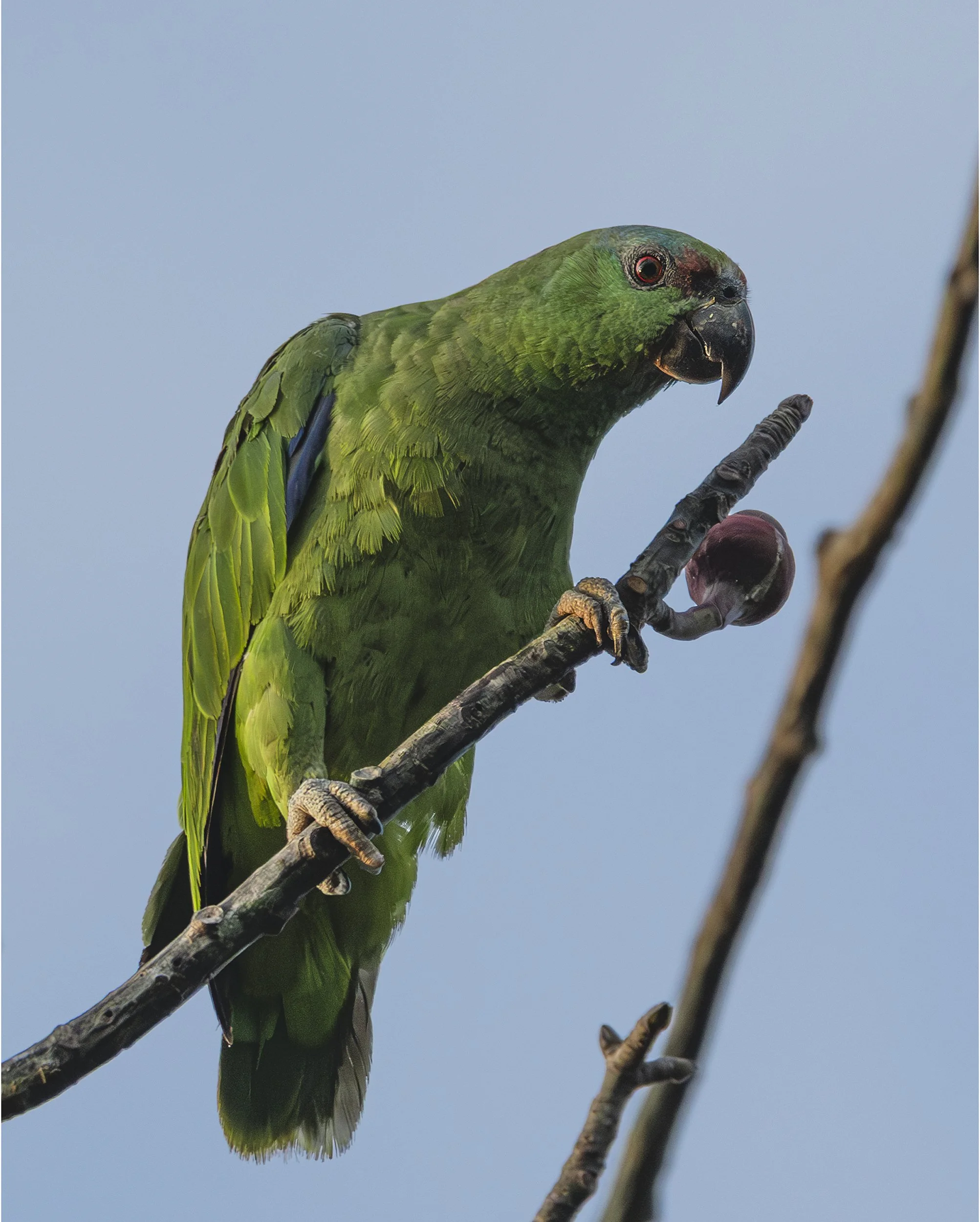 DSC_6846 copy2 PortBord.jpg