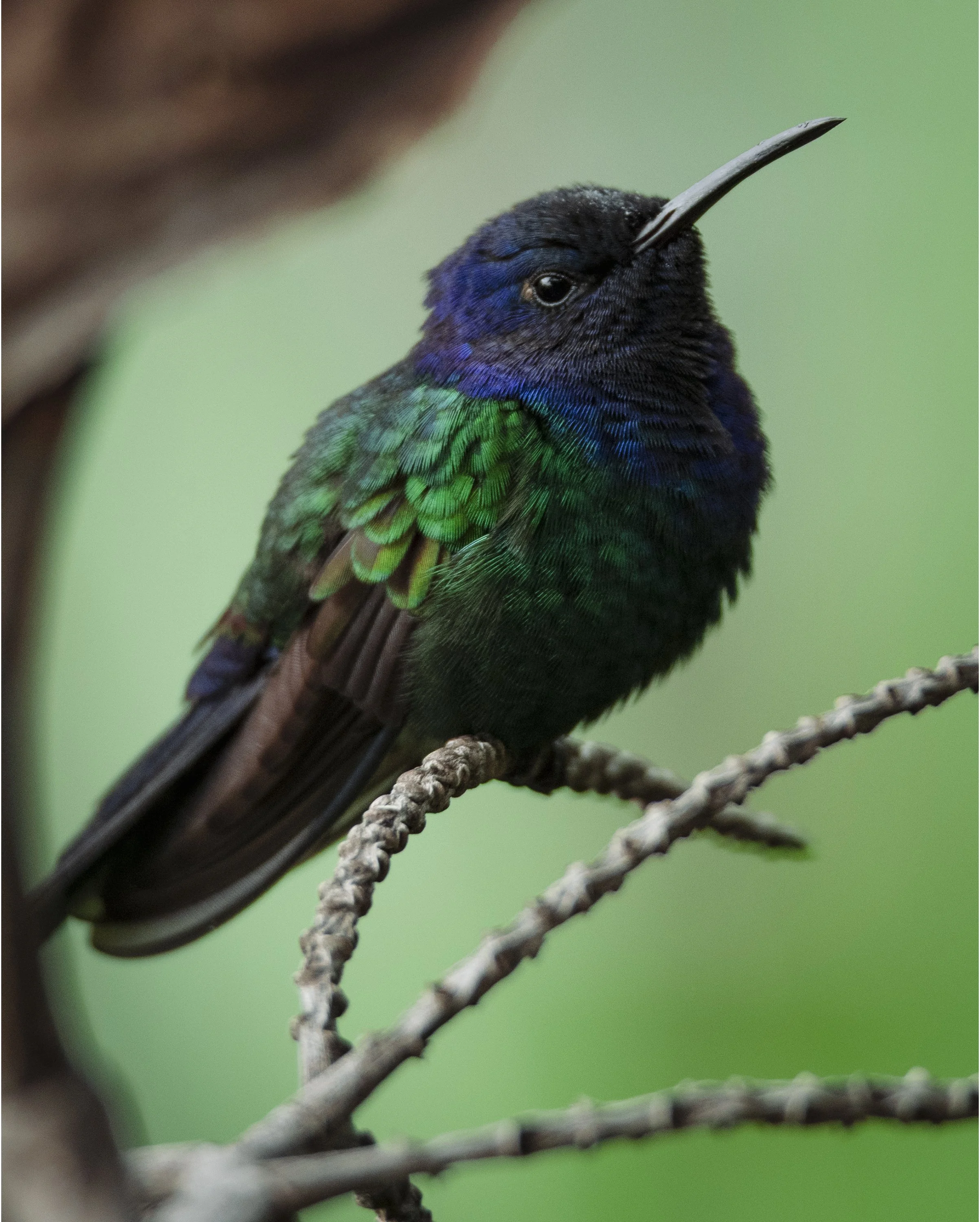 DSC_9261 copy alt copy PortBord.jpg