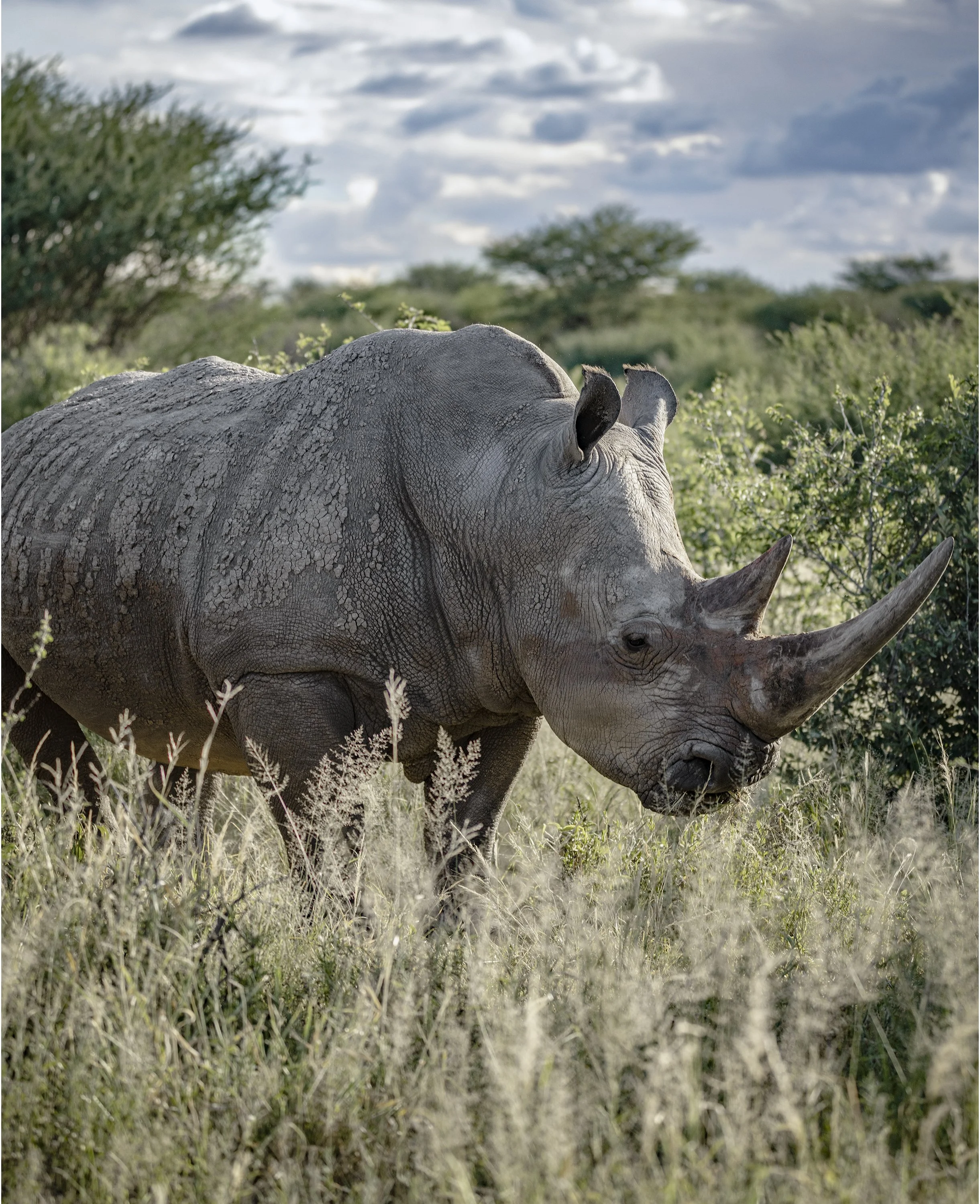 _DSC7847 IG copyPortBord.jpg