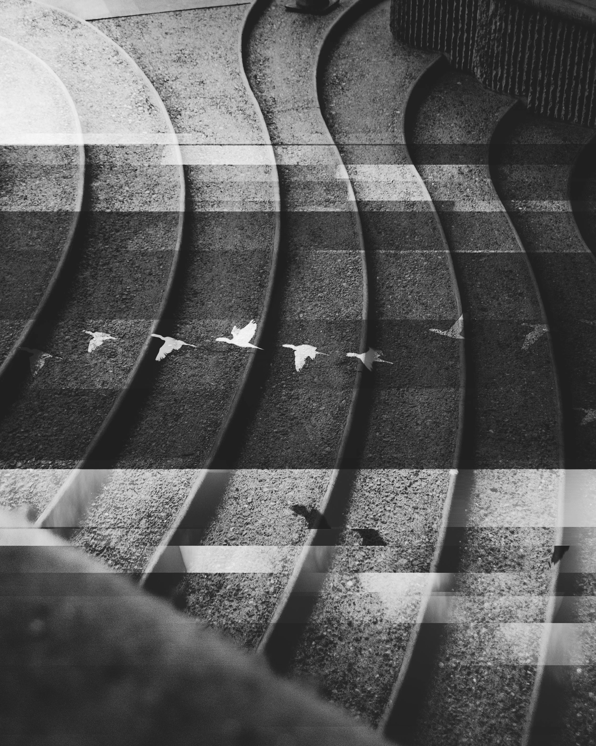 DSC_6924 02 copy3.jpg