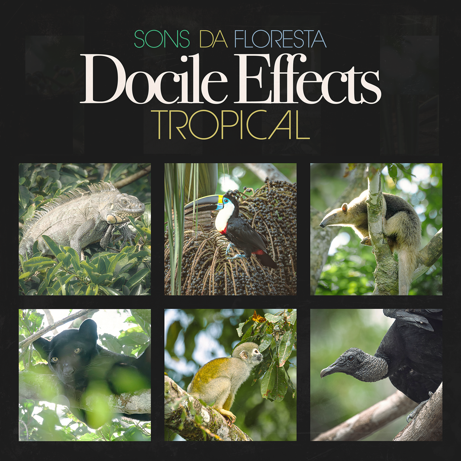 Docile Effects Amazonas - Cover - July3 copy FINAL.png