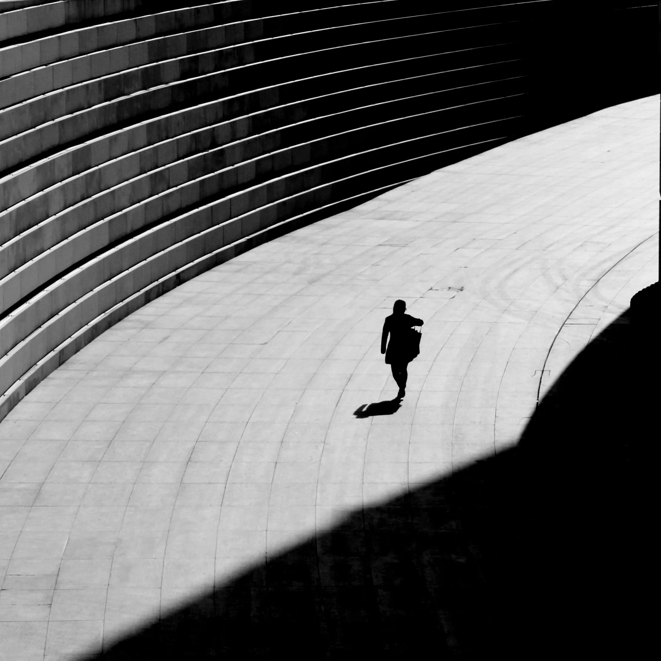 Breaking Free from Black or White: Understanding Bisexuality